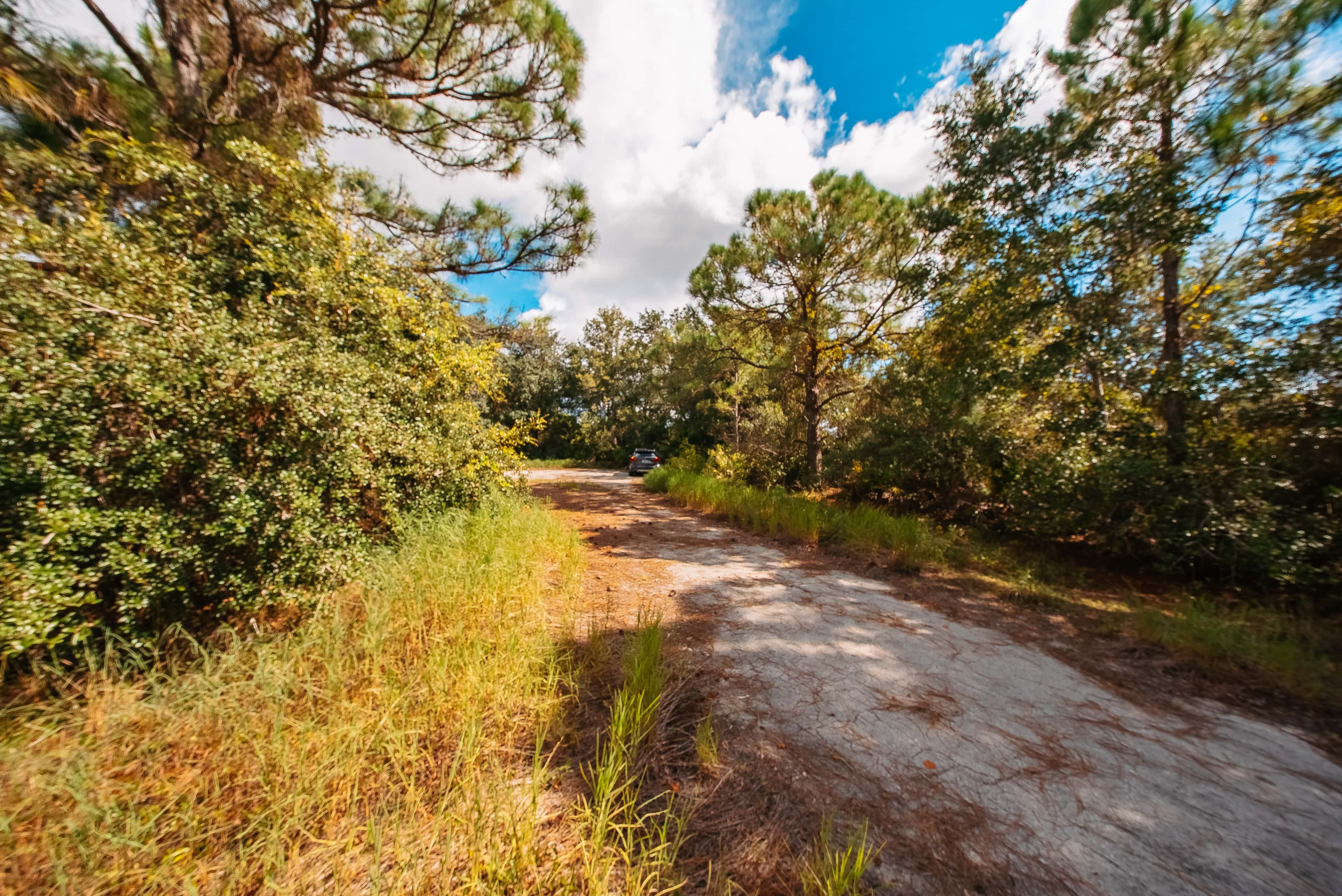0.3 acre residential zoned land for sale in Highlands County, FL, photo 13