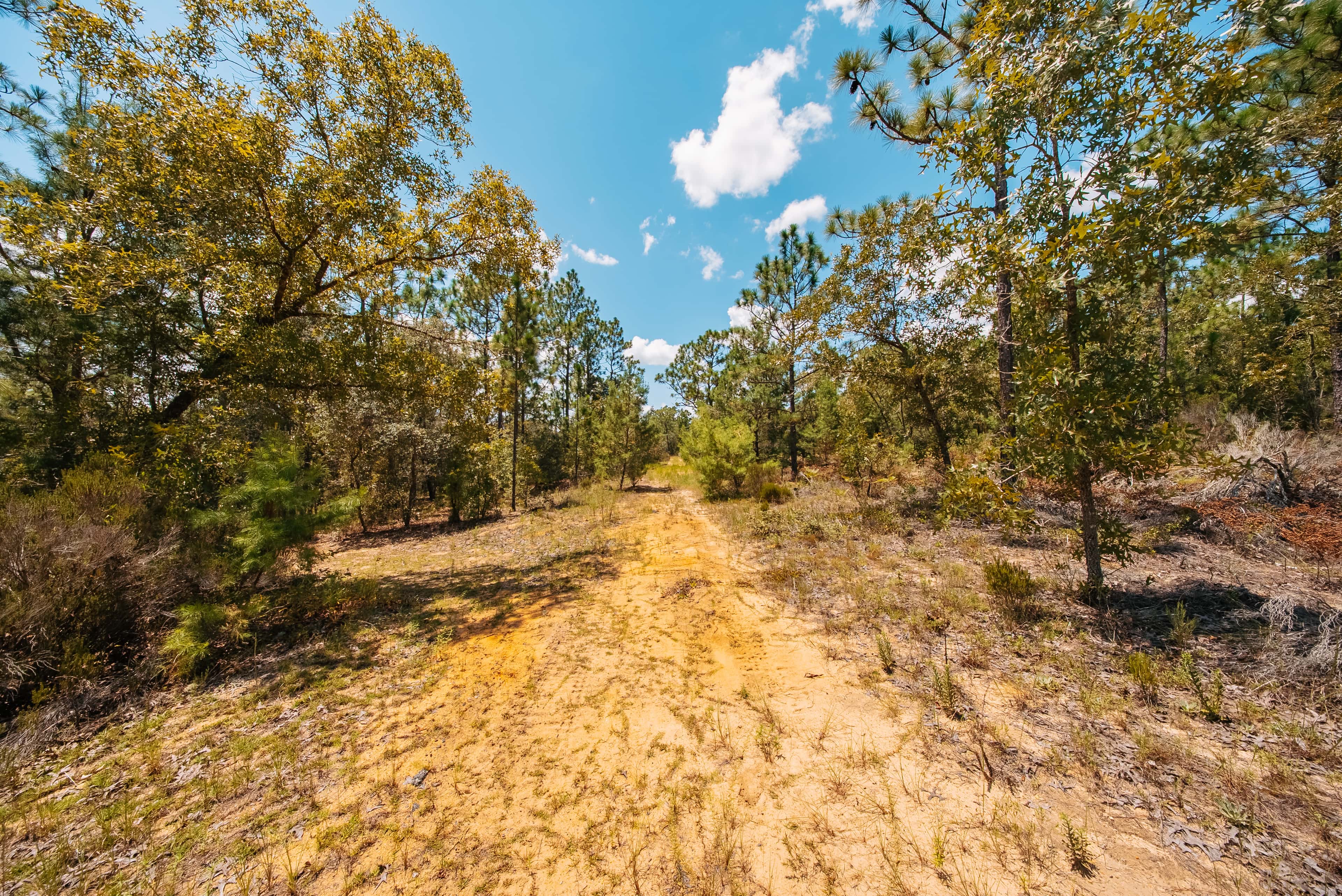 1.03 acre residential zoned land for sale in Putnam County, FL, photo 14