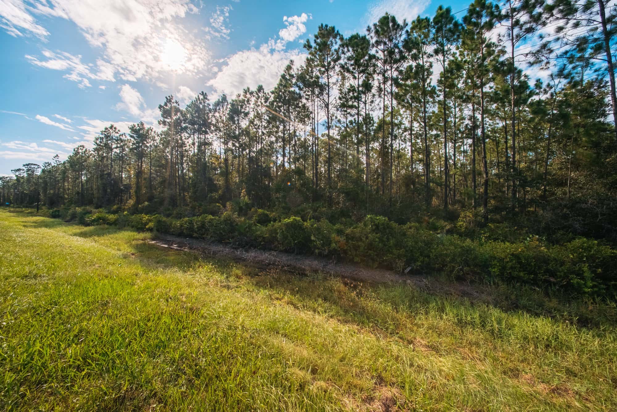 1.55 acre agricultural zoned land for sale in Putnam County, FL, photo 12