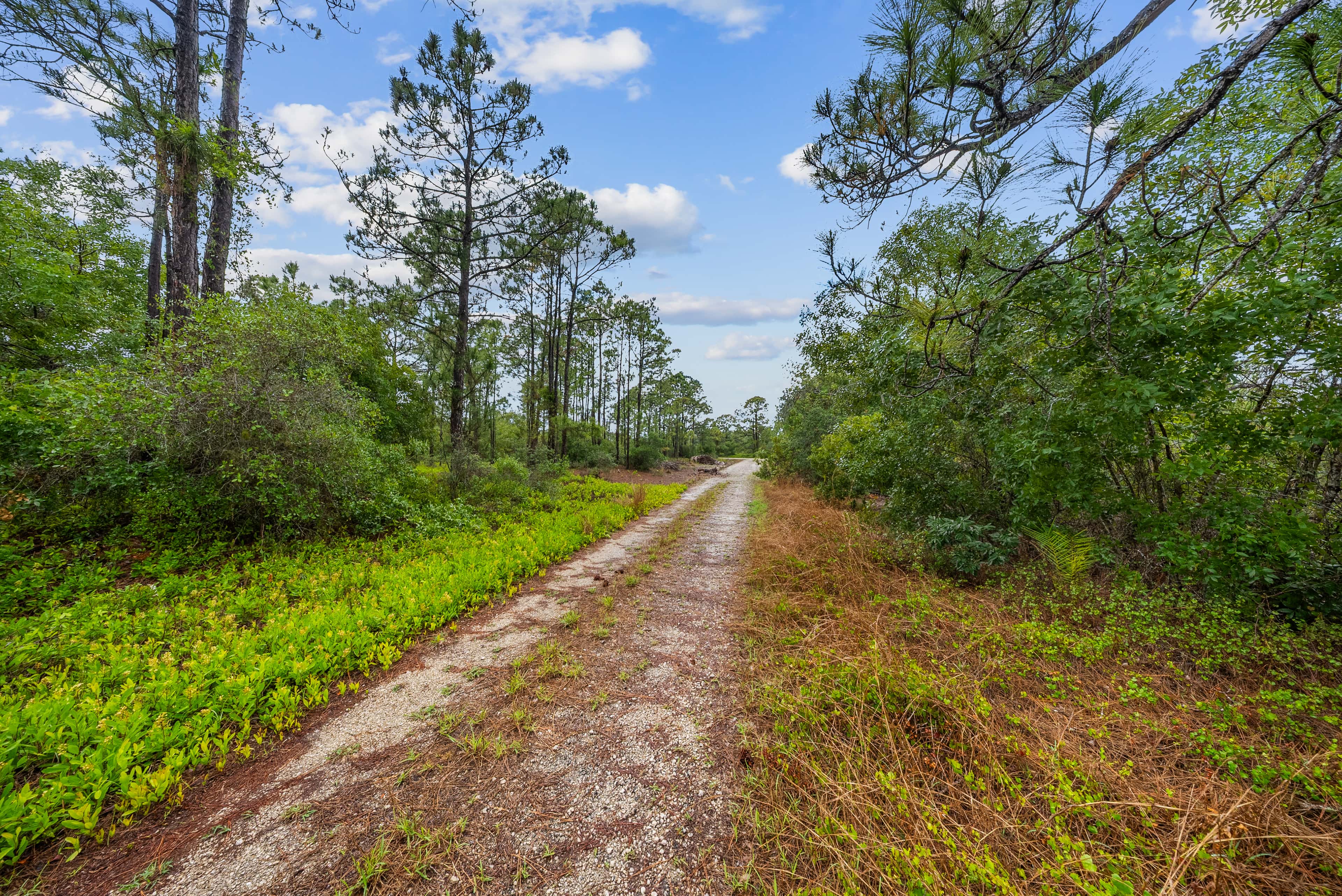 0.23 acre residential zoned land for sale in Highlands County, FL, photo 8