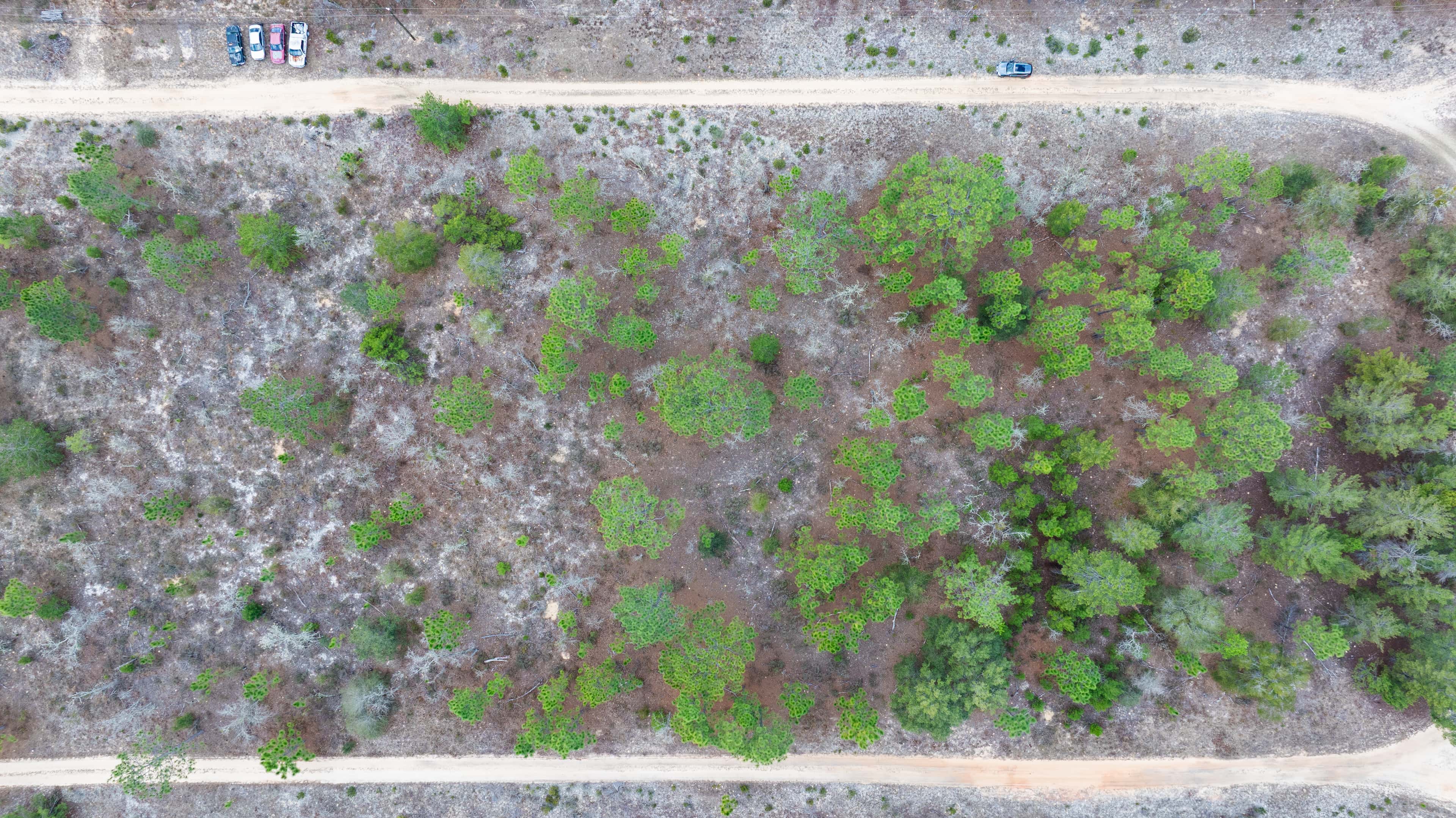 0.46 acre residential zoned land for sale in Putnam County, FL, photo 8