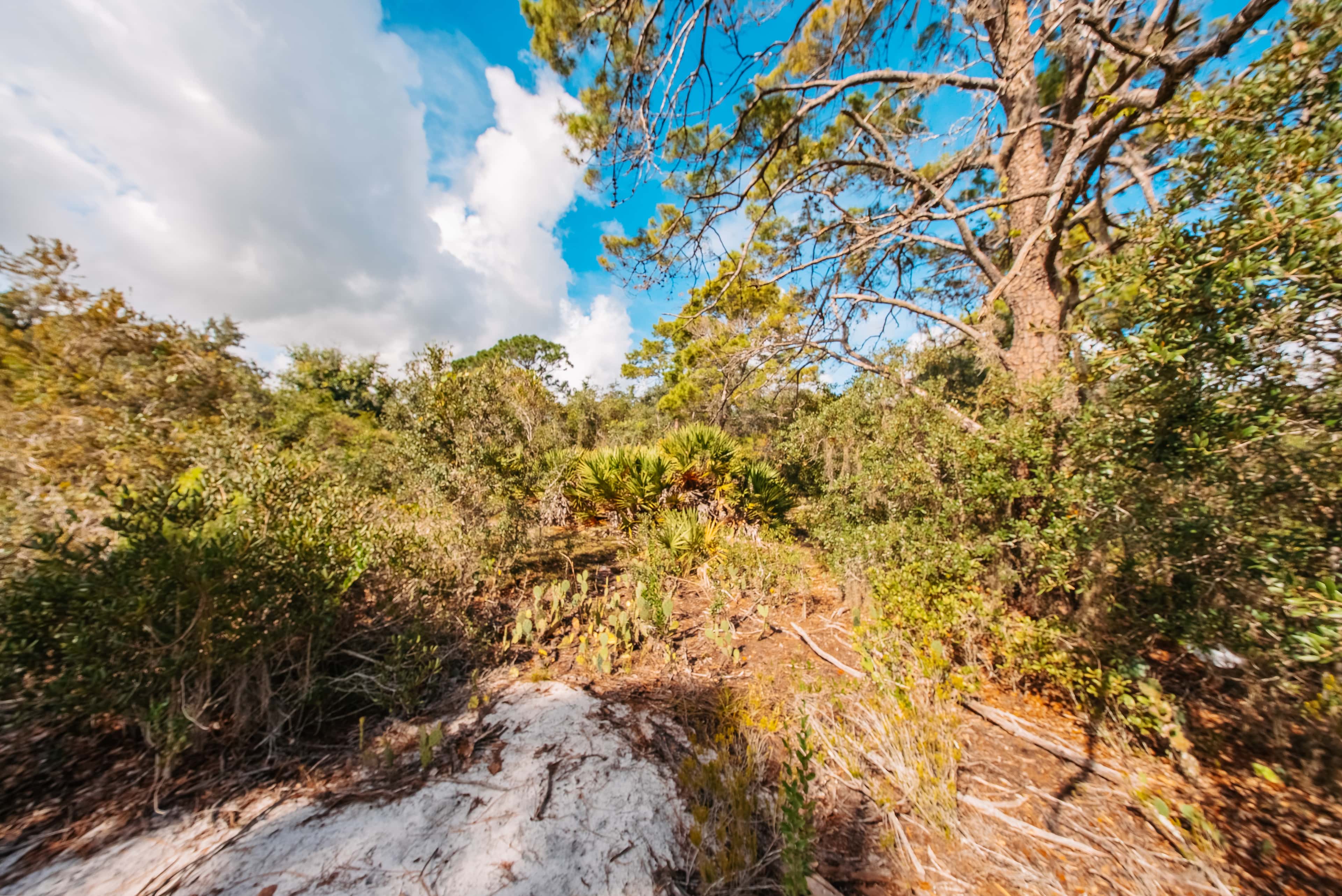 0.24 acre residential zoned land for sale in Highlands County, FL, photo 12