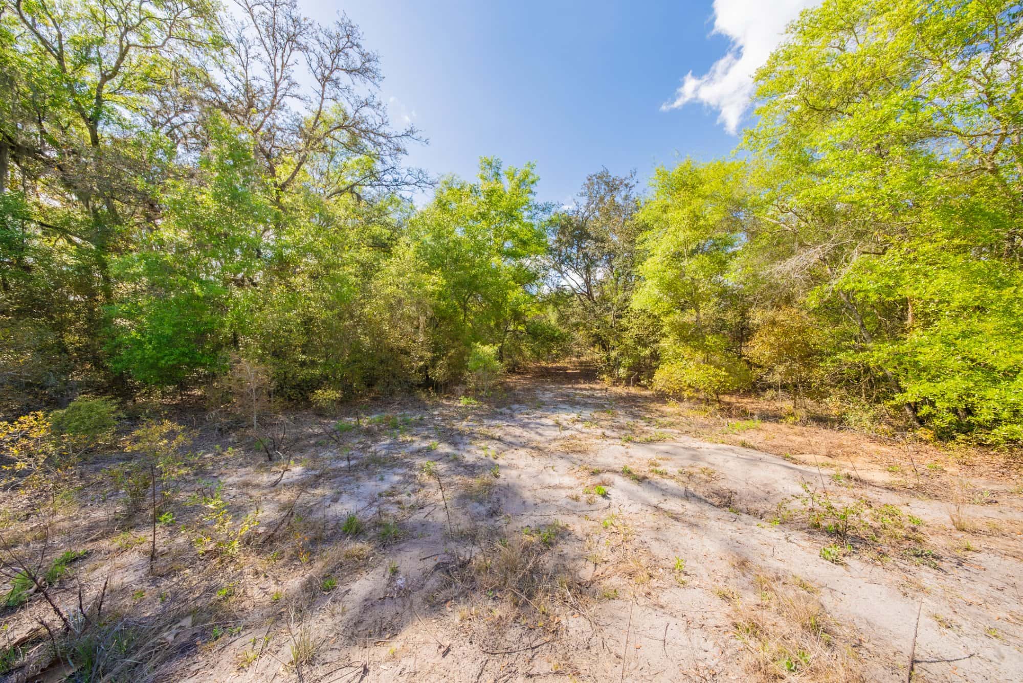 0.28 acre land for sale in Putnam County, FL