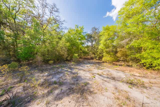 0.28 acre lot in Interlachen Lakes Estates, Interlachen, Florida