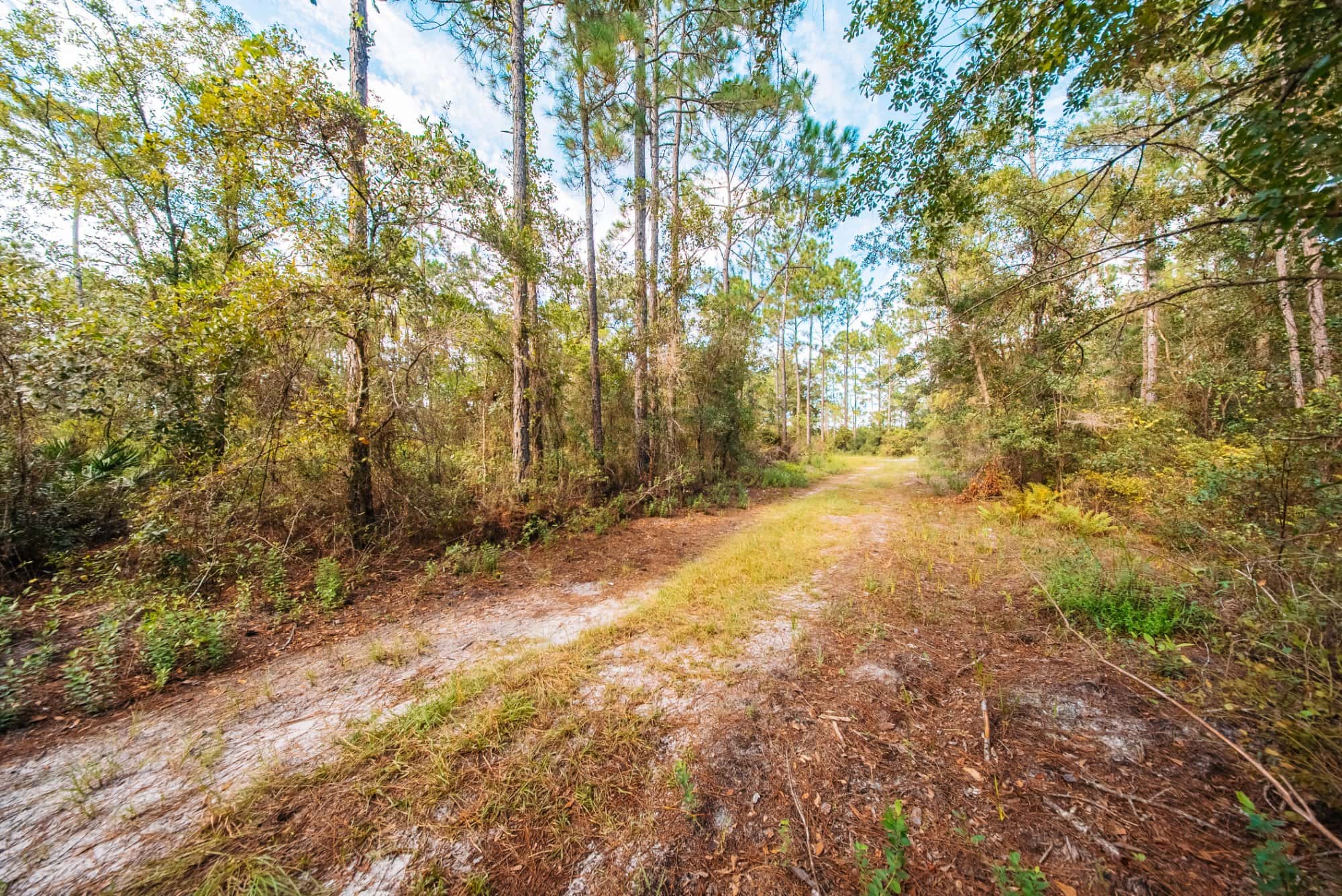 1.55 acre agricultural zoned land for sale in Putnam County, FL, photo 2
