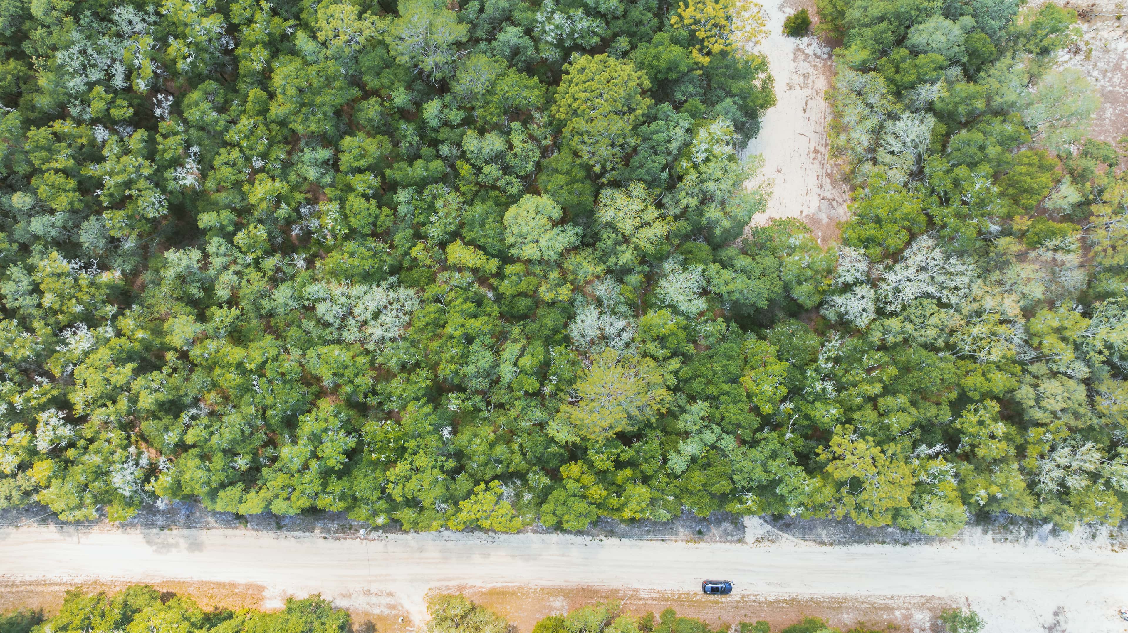 0.22 acre residential zoned land for sale in Putnam County, FL, photo 5