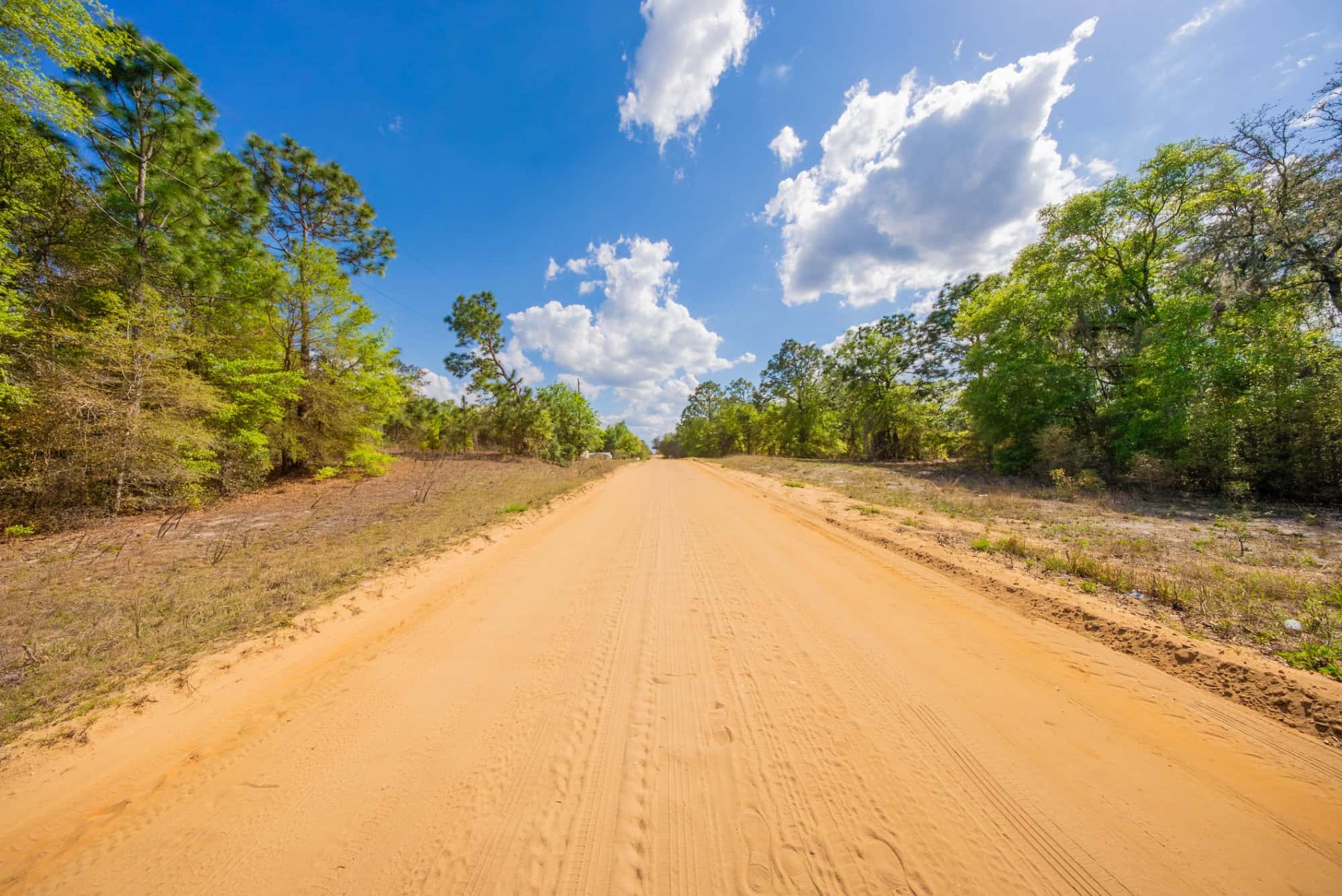 0.28 acre residential zoned land for sale in Putnam County, FL, photo 8