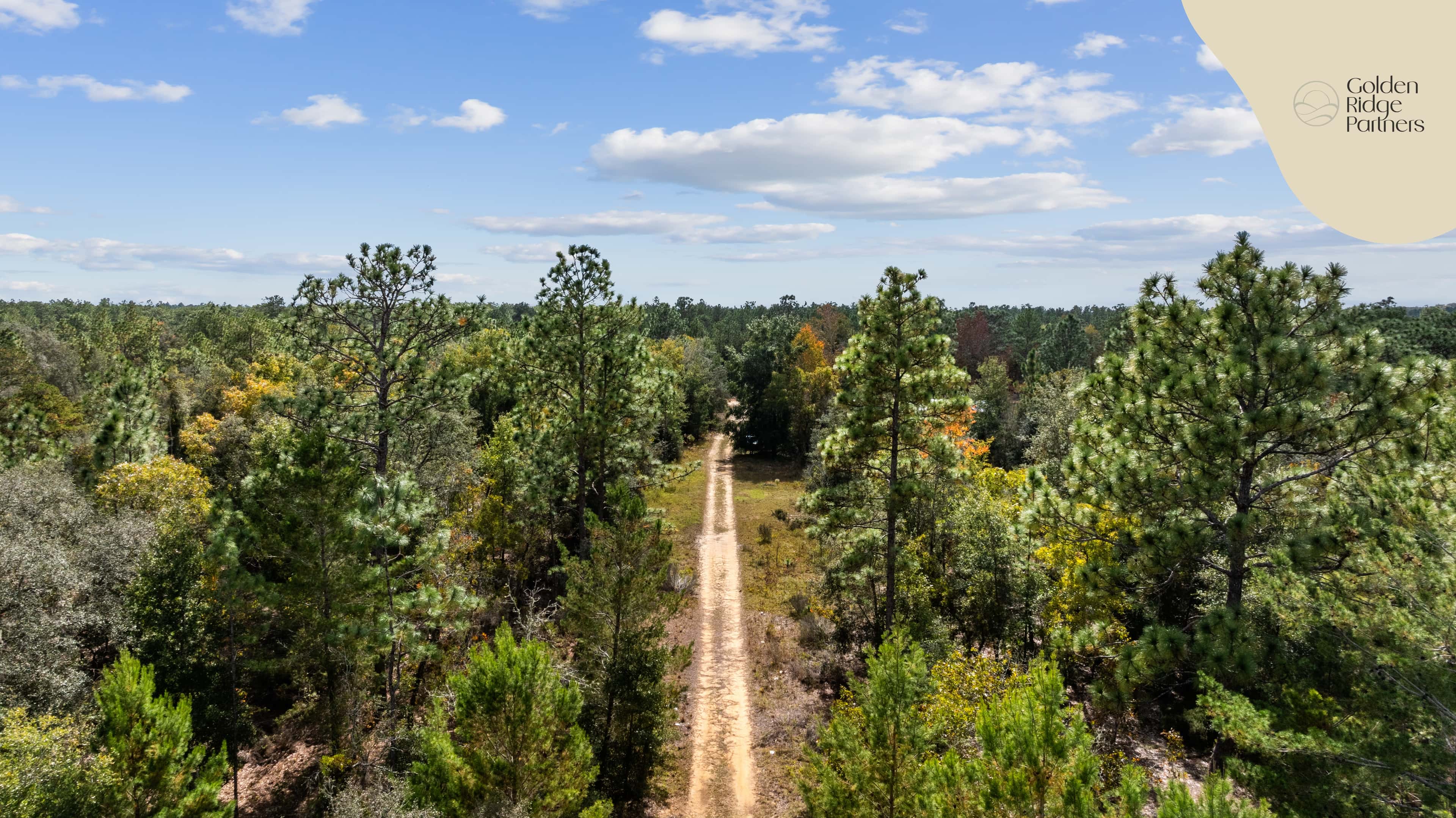 0.2 acre residential zoned land for sale in Putnam County, FL, photo 7