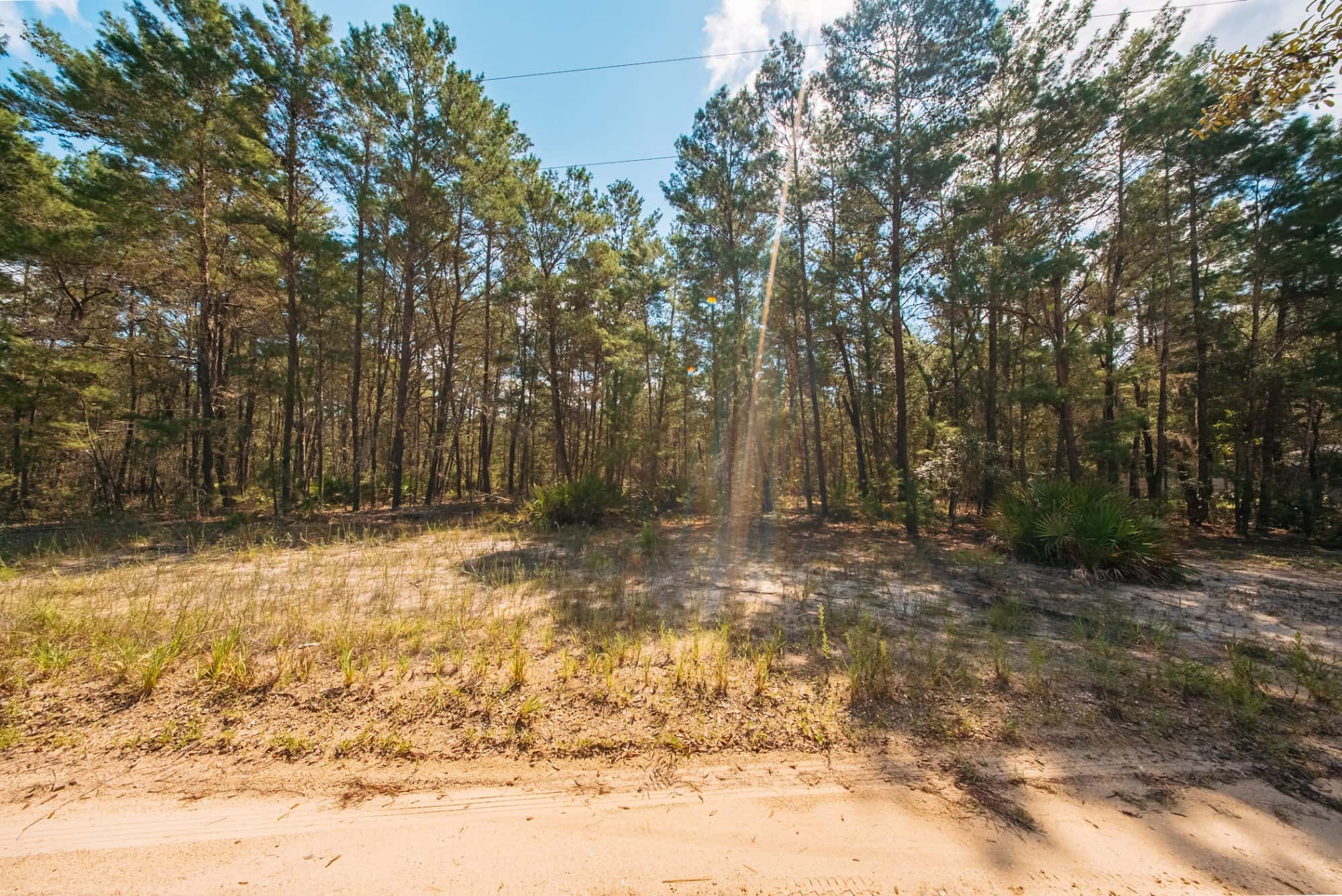 0.34 acre residential zoned land for sale in Putnam County, FL, photo 7