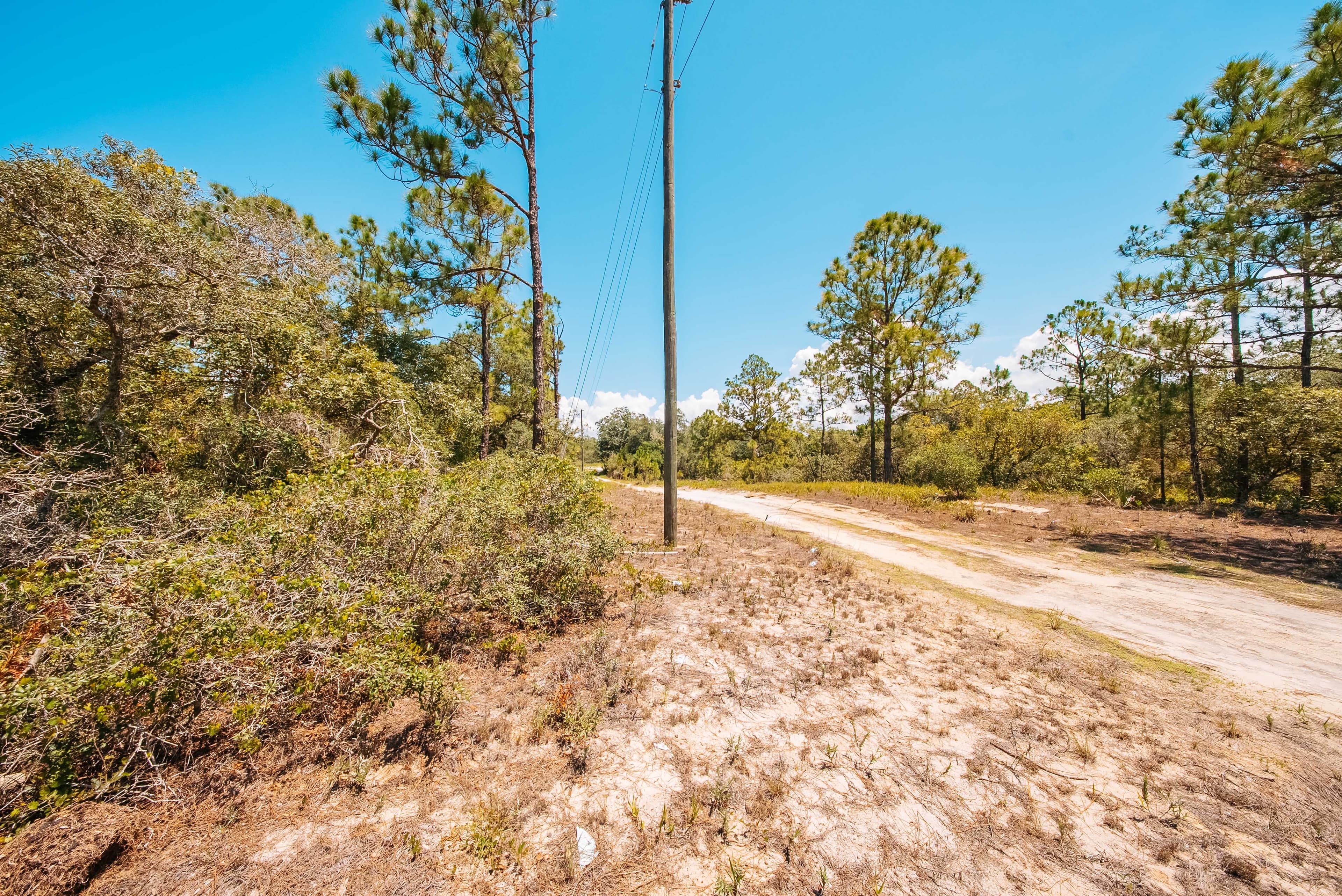  0.24 Acre Build-Ready Lot in Sun N Lakes, Lake Placid — property view 12