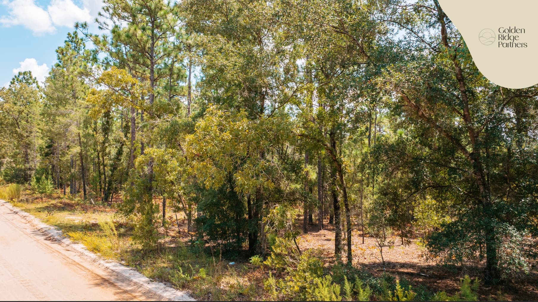 0.9 acre residential zoned land for sale in Putnam County, FL — photo 2