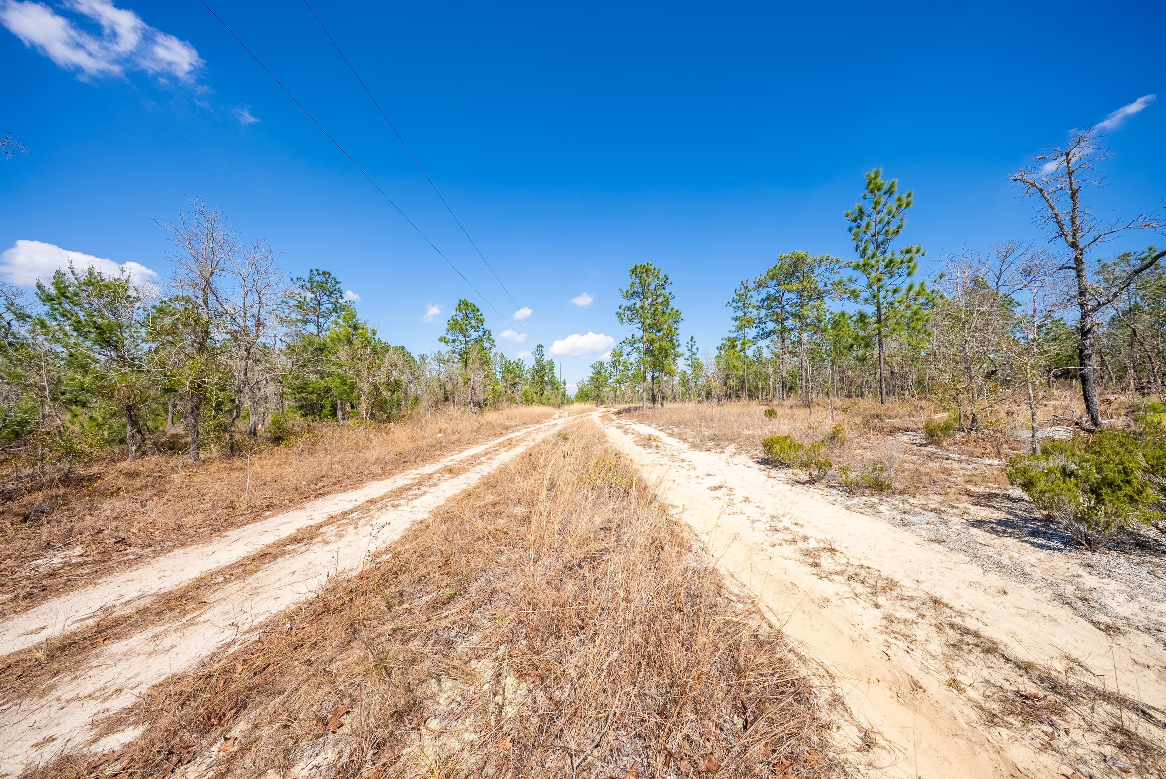 High, Dry, and Deeded: Your 0.2-Acre Florida Lookout — property view 12