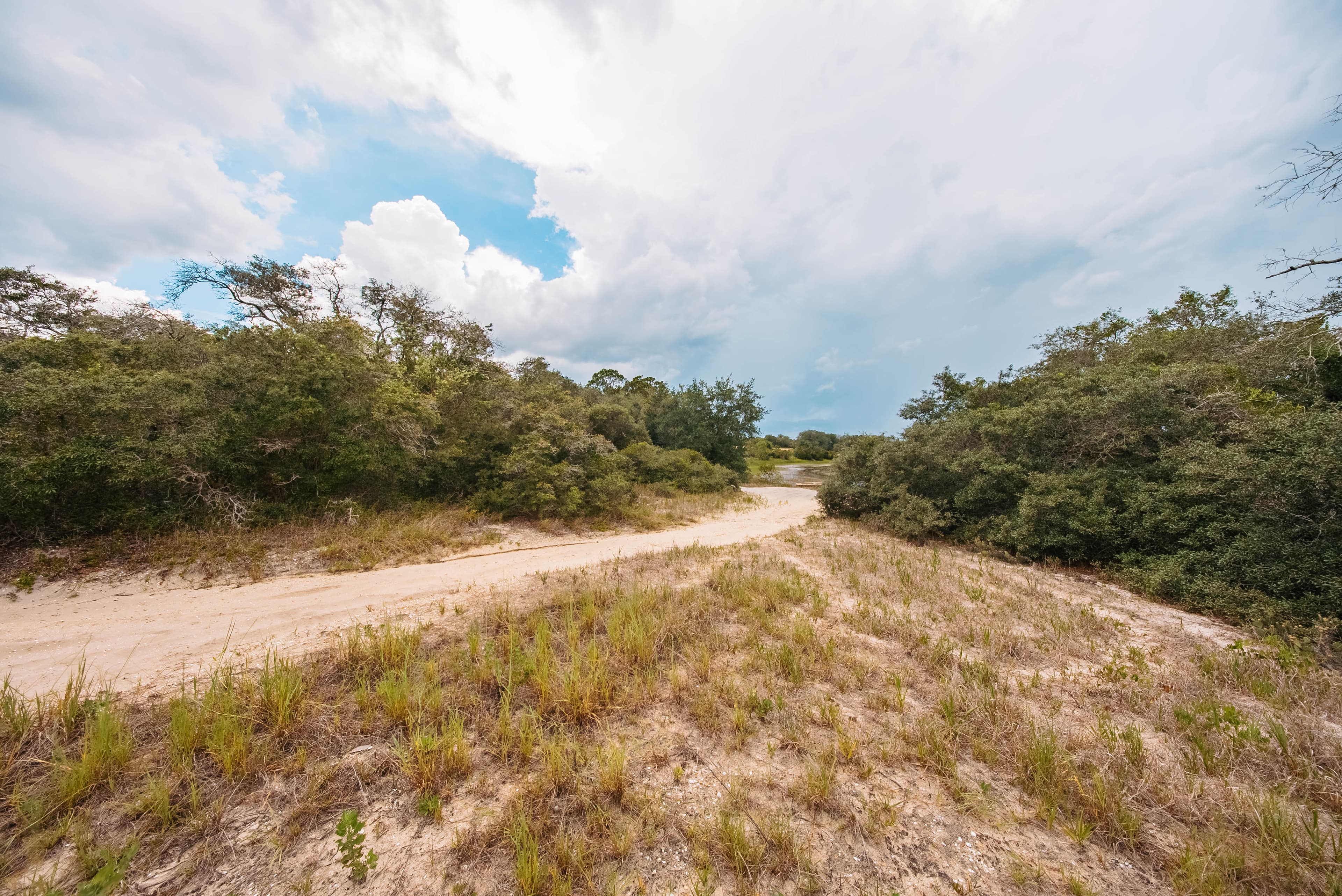 0.23 Acre Build-Ready Lot in Sun N Lakes, Lake Placid — property view 13