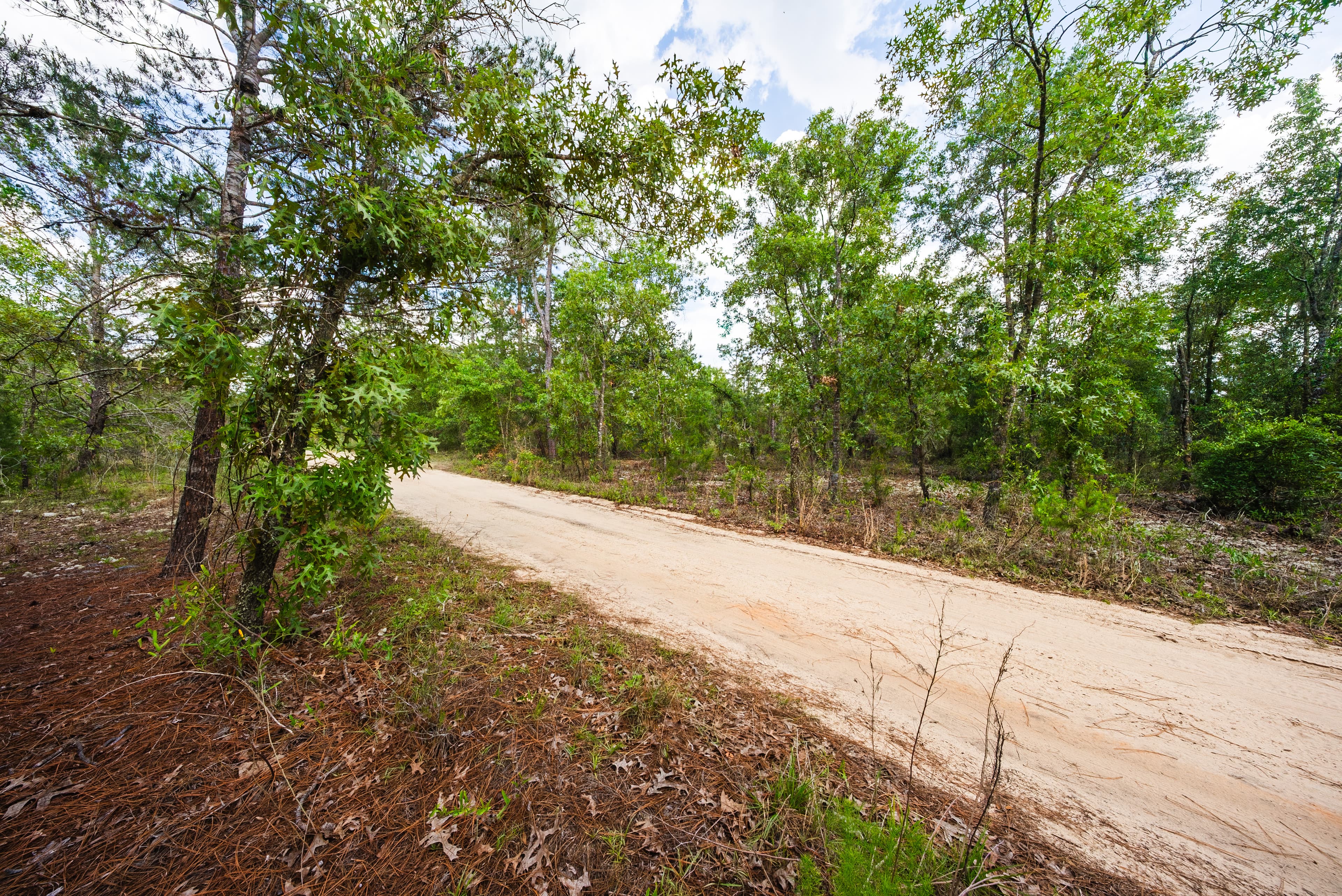 The West Lake Homestead: 0.25 Acres of AG-Zoned Freedom — property view 11
