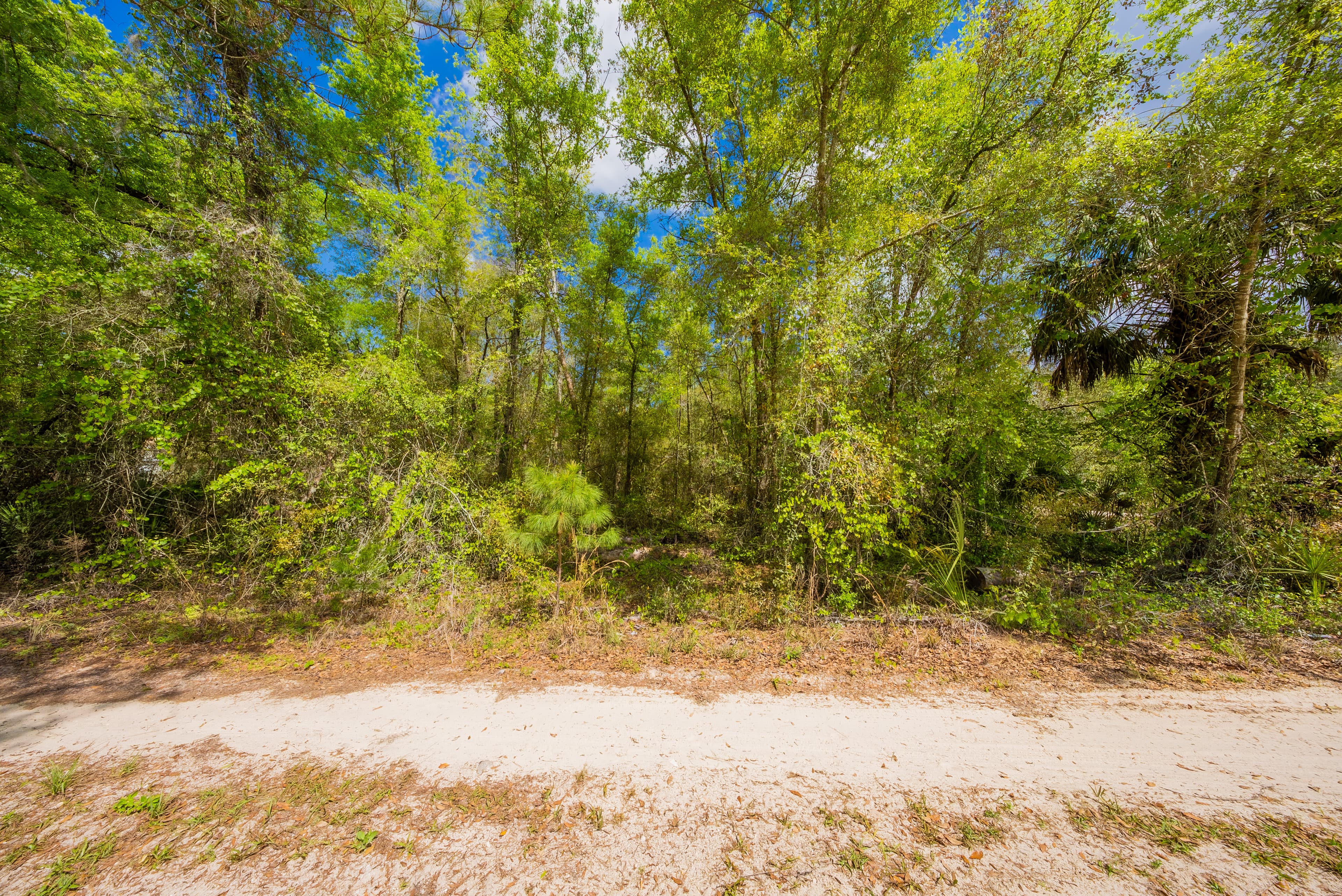 Riverside Estates Retreat: 0.23 Acres Coming Soon to Oklahoma Ave — property view 12