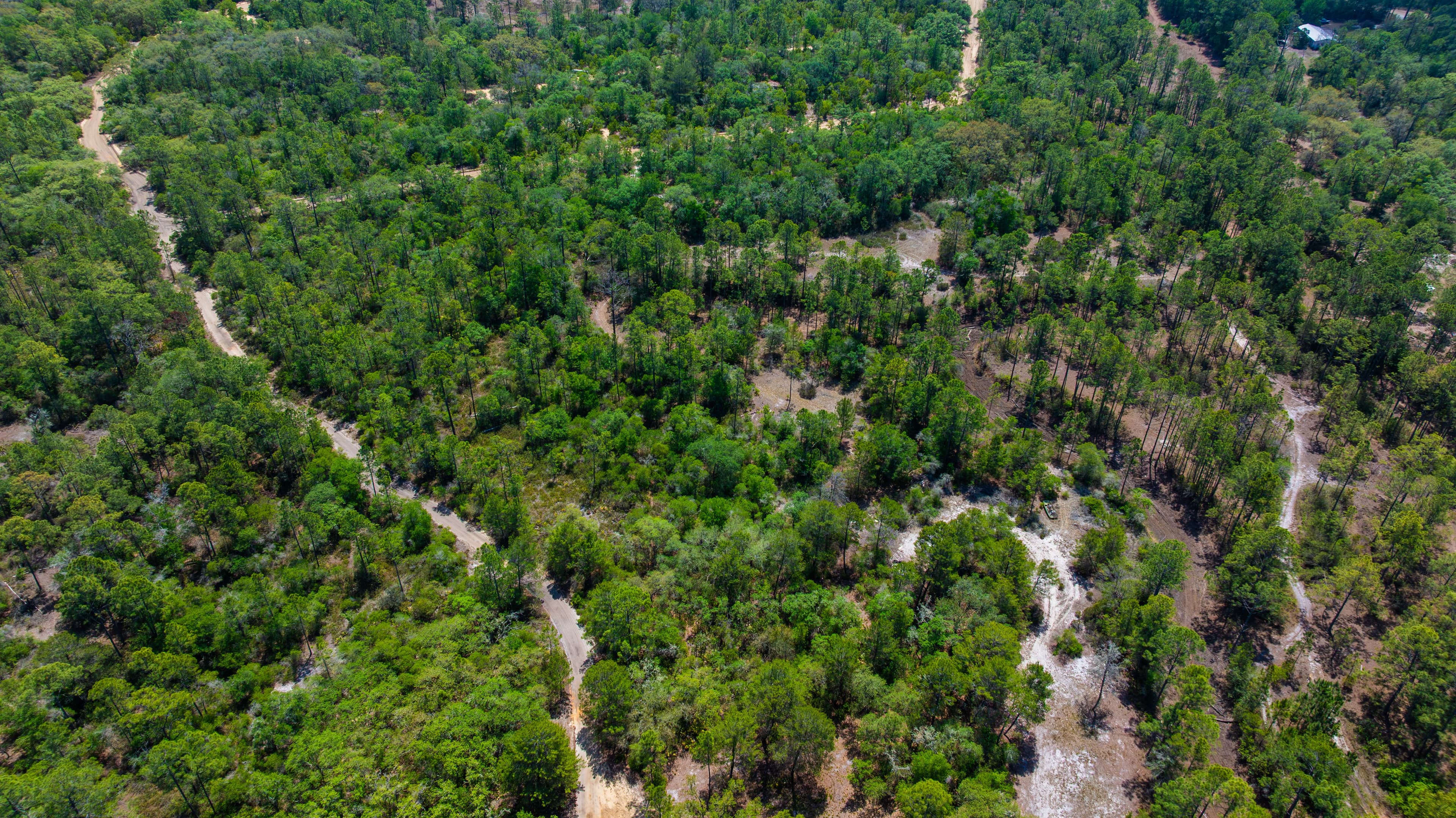 0.156 Acre Build-Ready City Lot with Water & Sewer in Sebring — property view 5