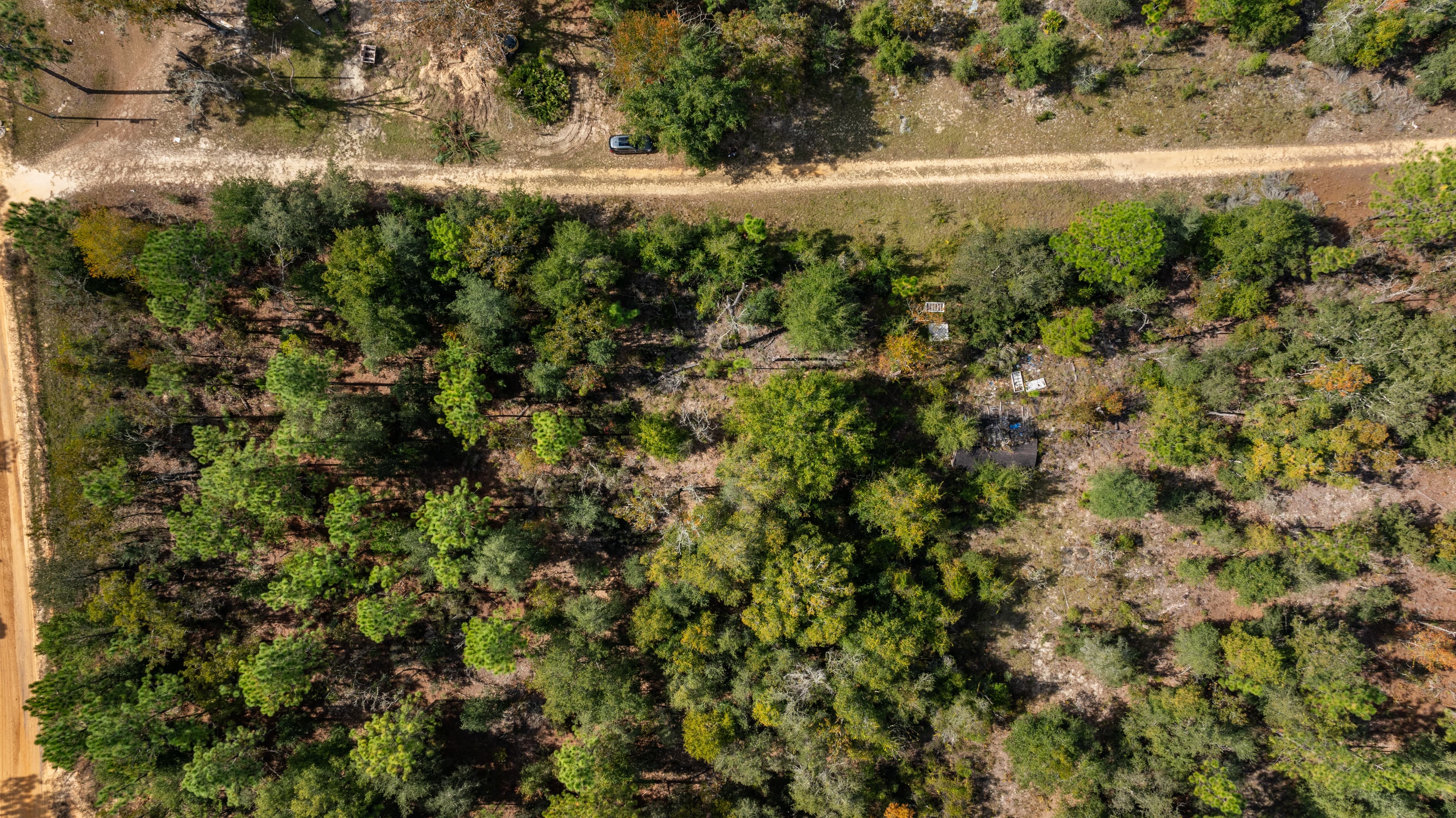 A New Chapter Awaits on Guy Avenue — property view 6