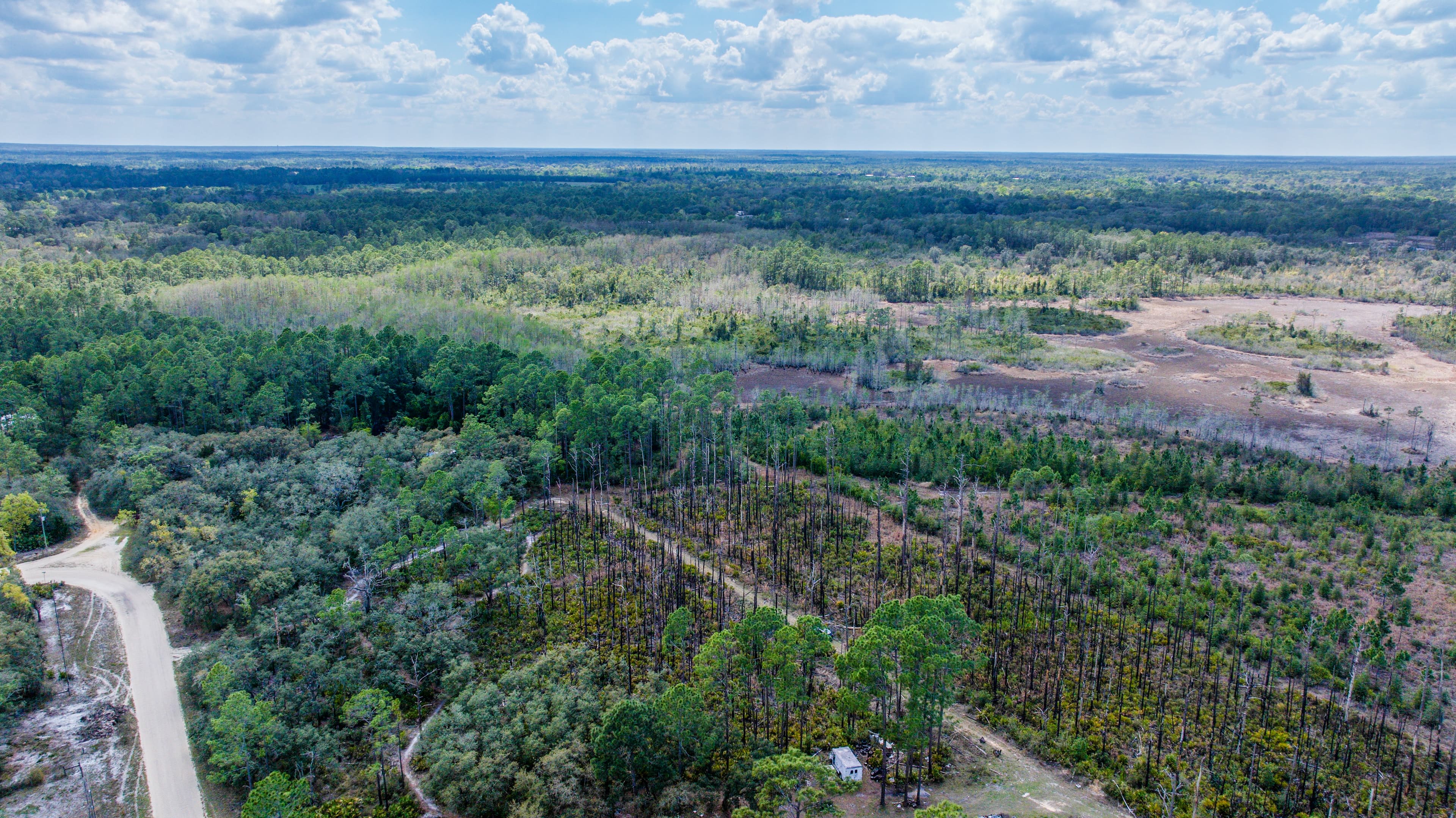 0.22 acre residential zoned land for sale in Putnam County, FL — photo 4