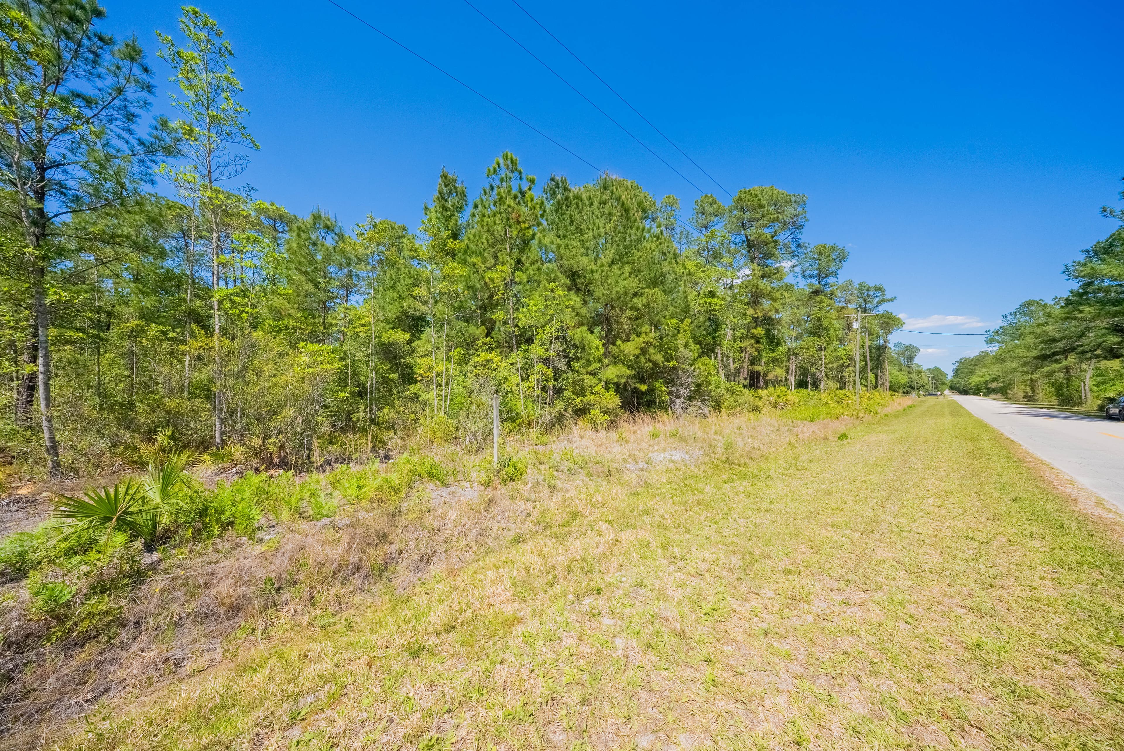 The Hickory Nut Haven: 0.24 Acres of Wooded Freedom in Wild Florida — property view 9