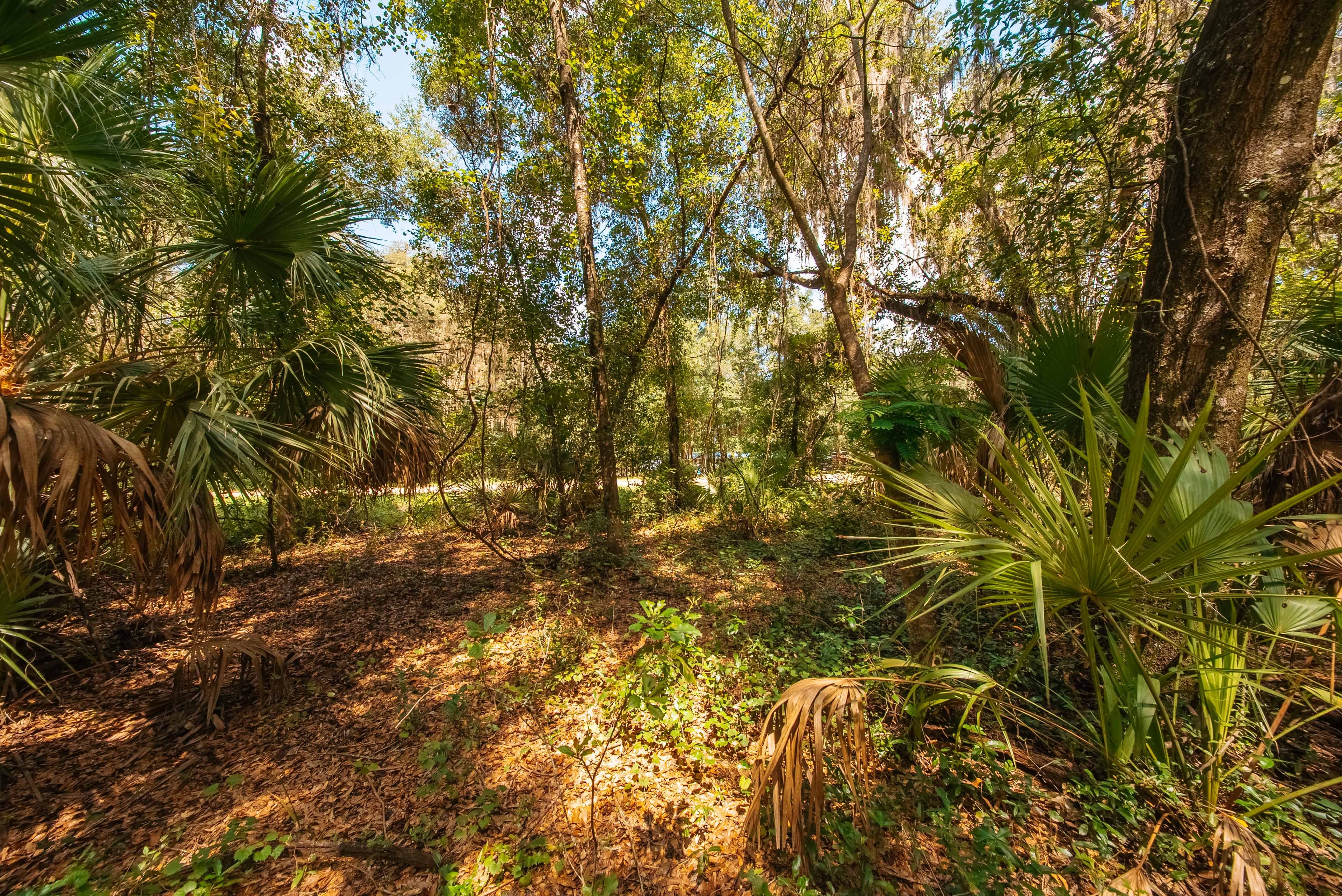 Property View 11