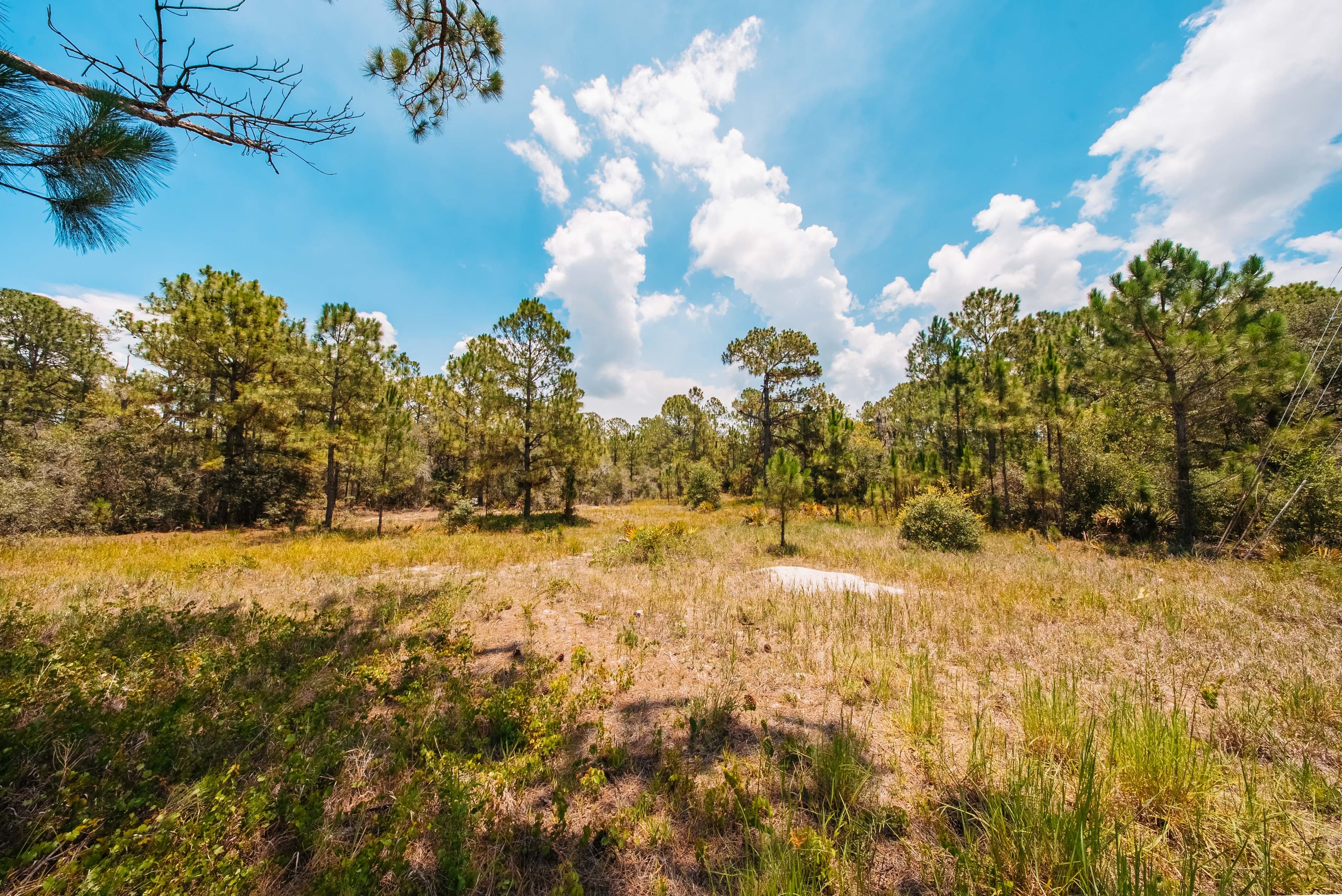 0.2 acre residential zoned land for sale in Highlands County, FL — photo 3