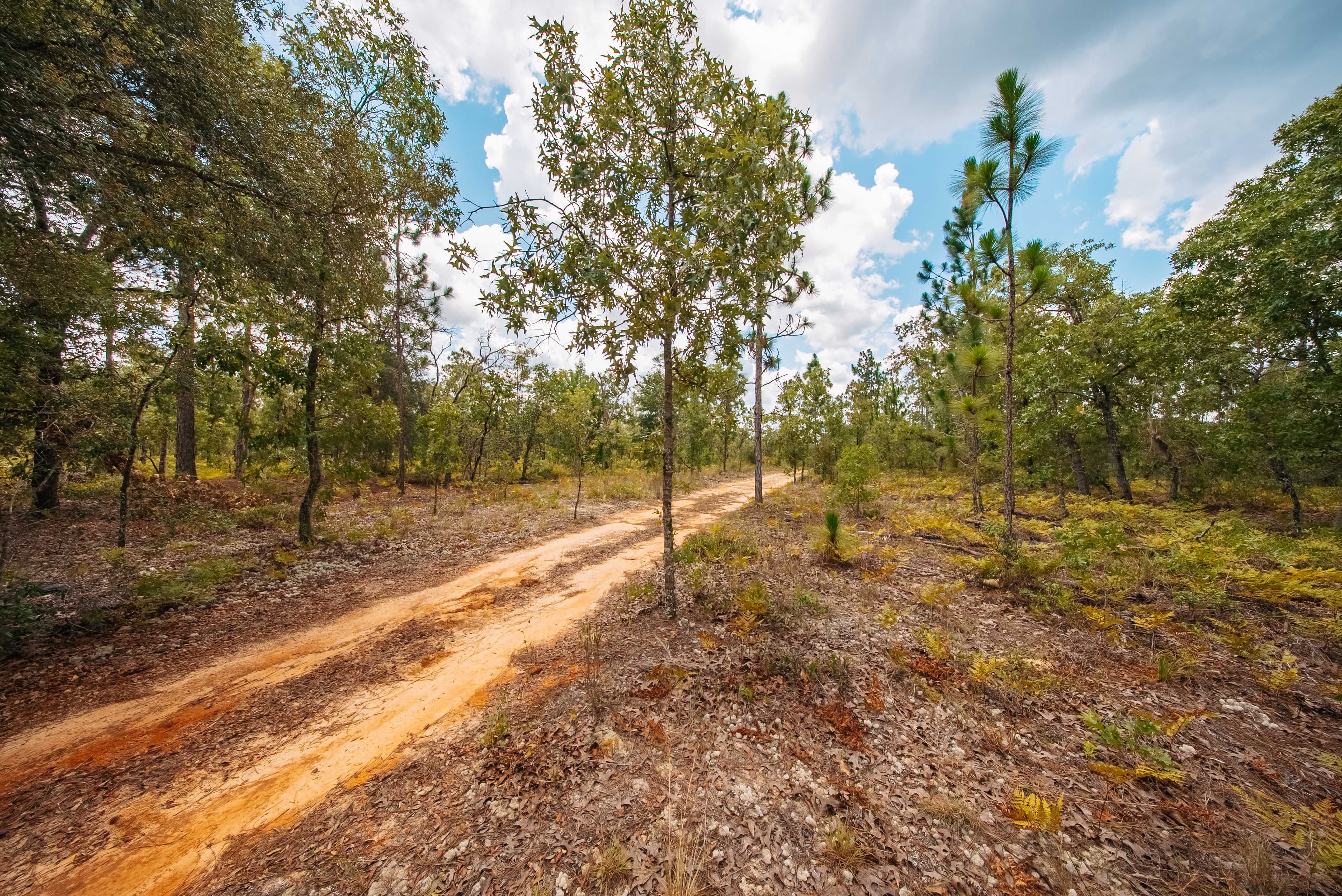 0.20 Acre Build-Ready Lot in West Lake Estates — property view 10