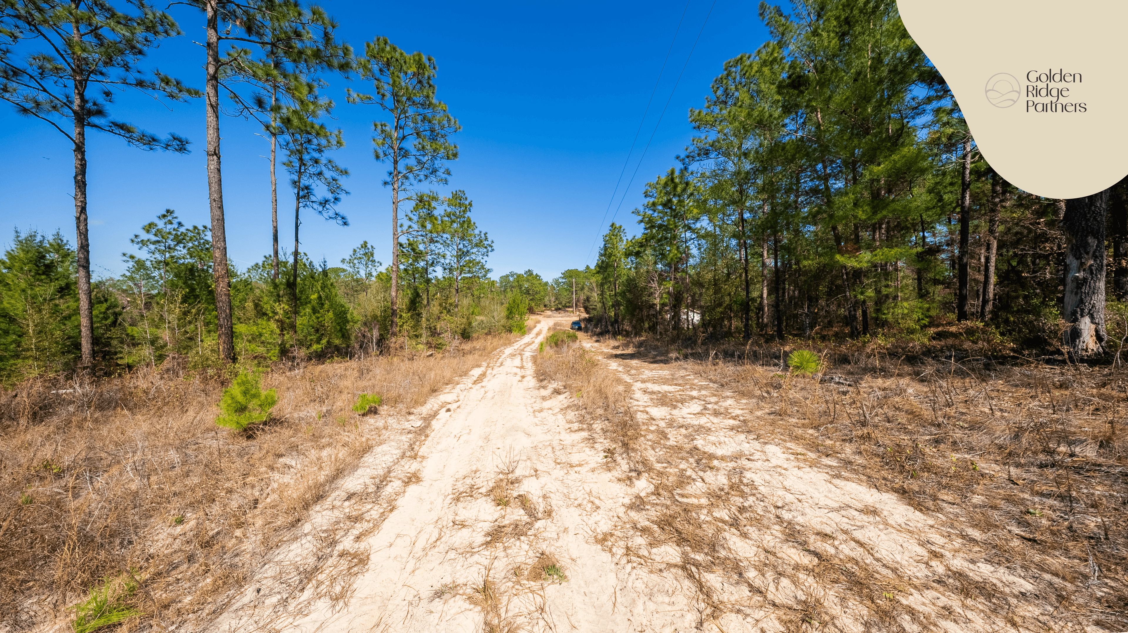 The Trout Lake Estate: 1.22 Acres of Untouched Florida Freedom — property view 12