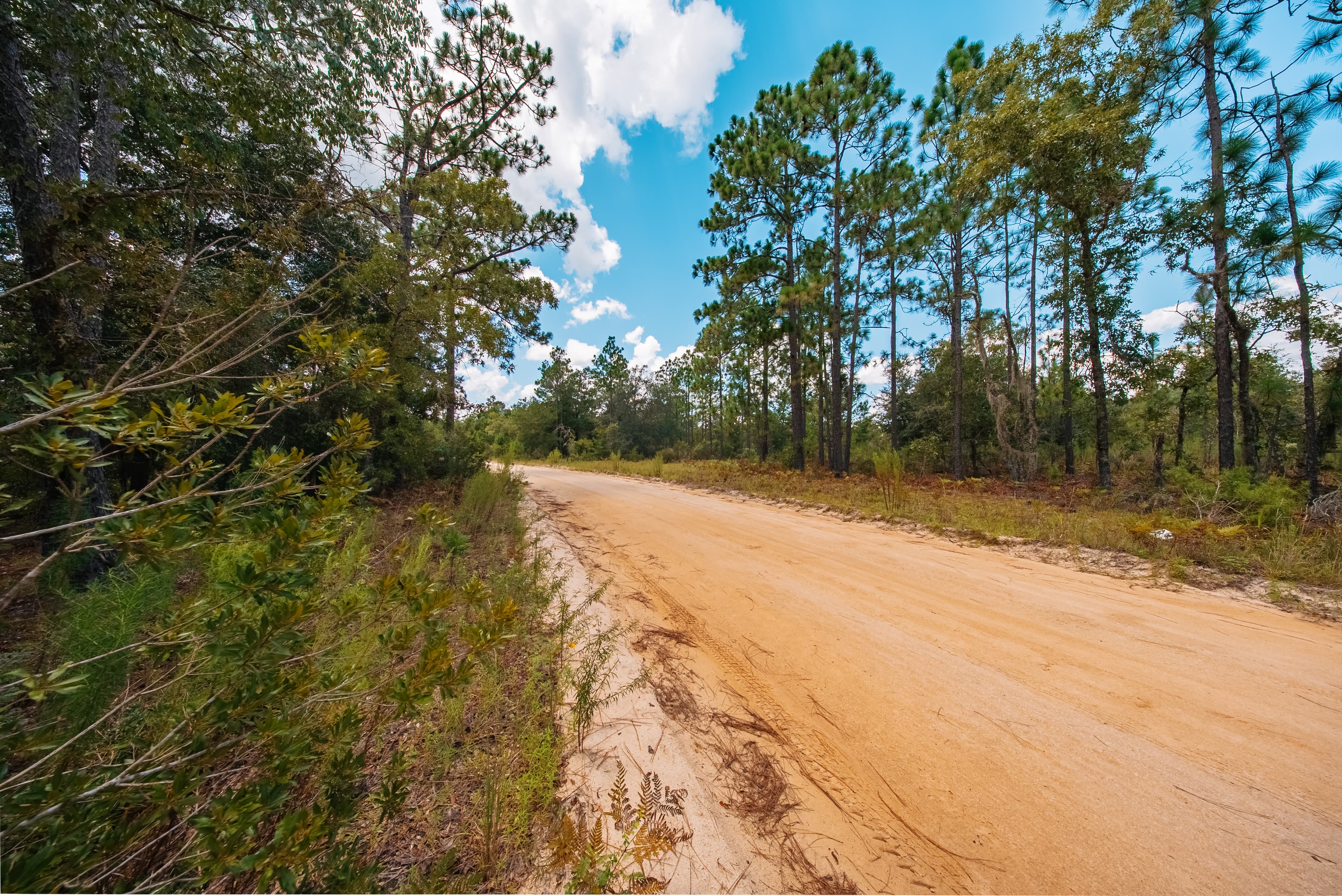 0.90 Acre Premium Lot in Mariners Lake Heights, Interlachen — property view 14