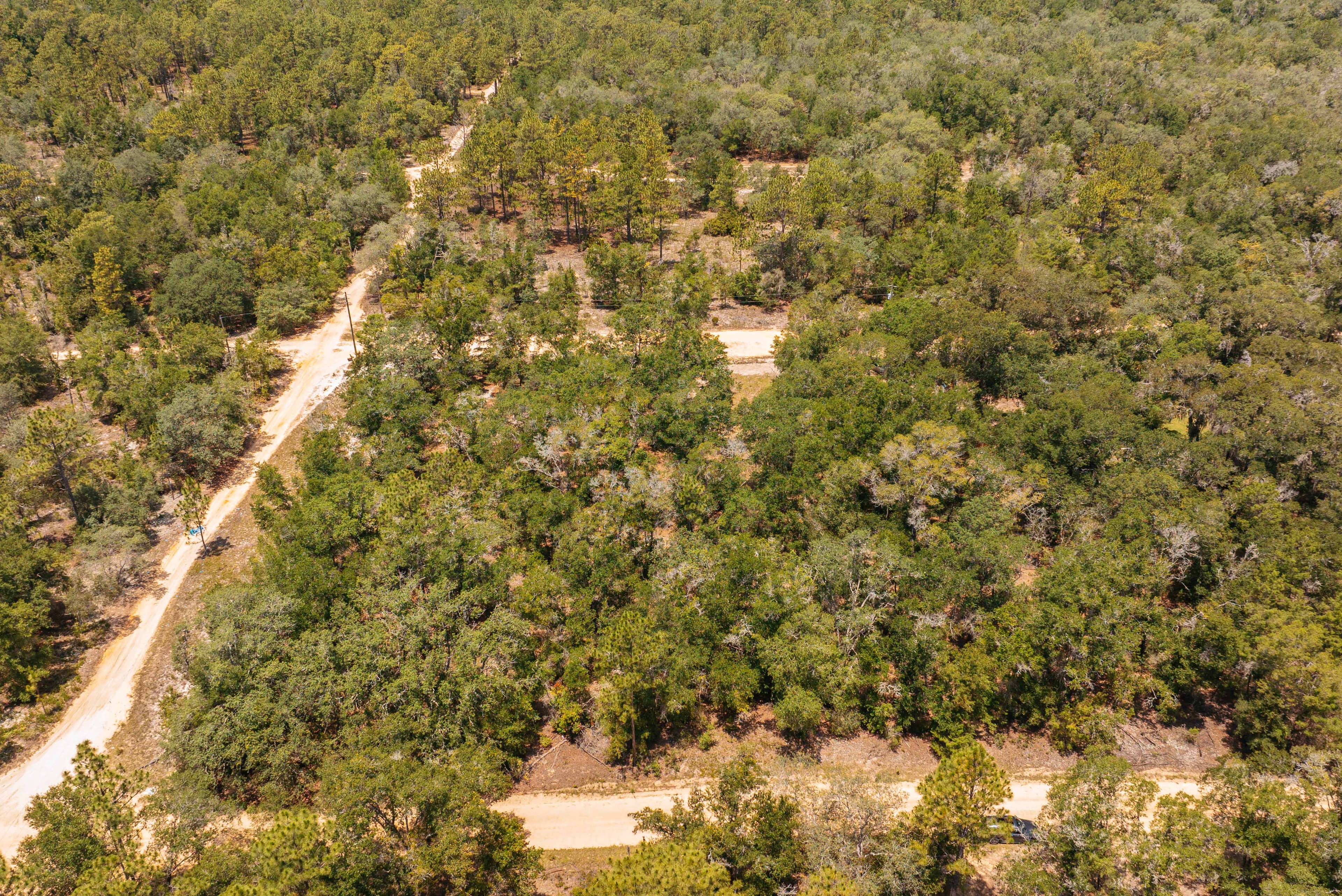 0.20 Acre Build-Ready Lot in West Lake Estates, Interlachen — property view 5