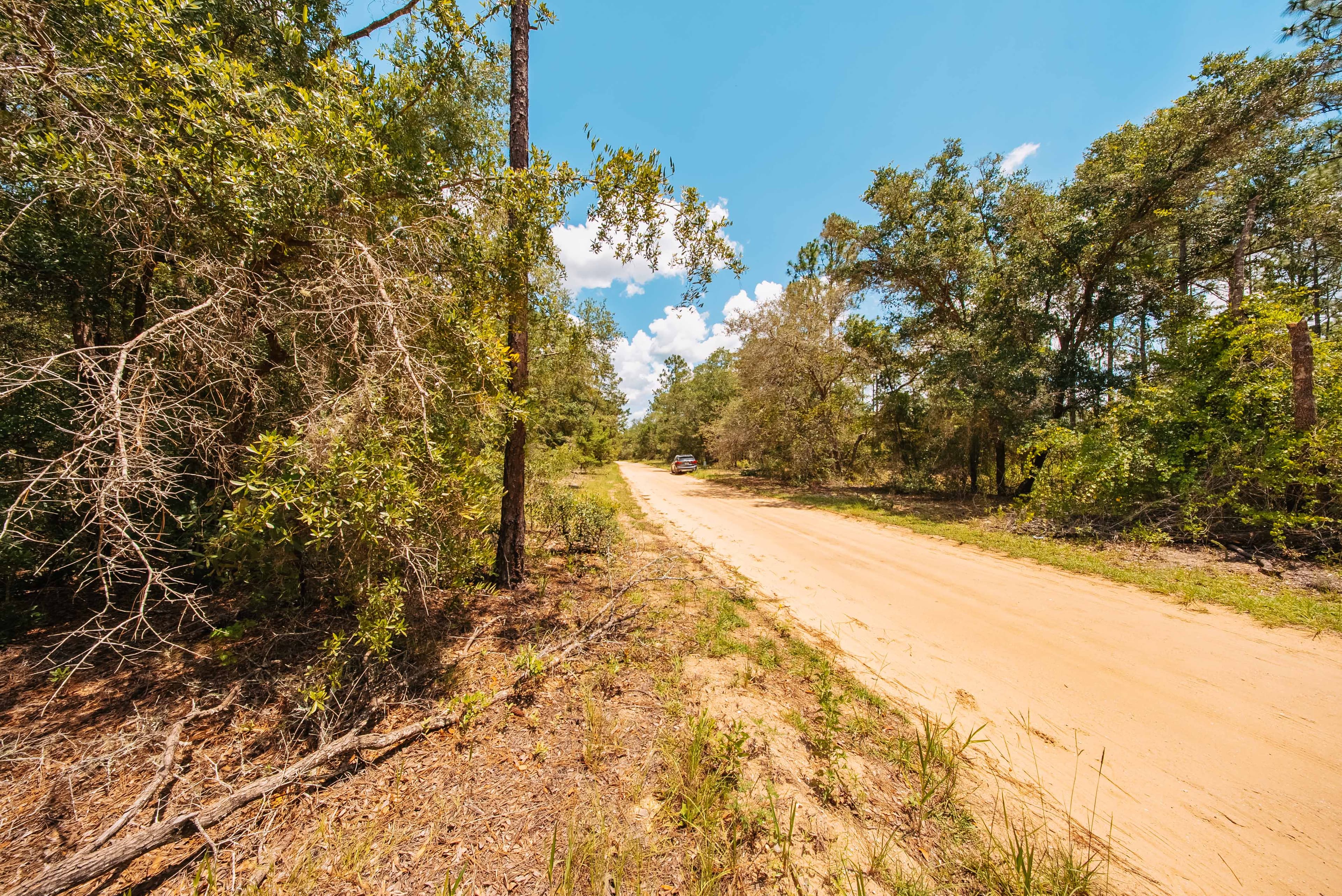 0.20 Acre Build-Ready Lot in West Lake Estates, Interlachen — property view 12