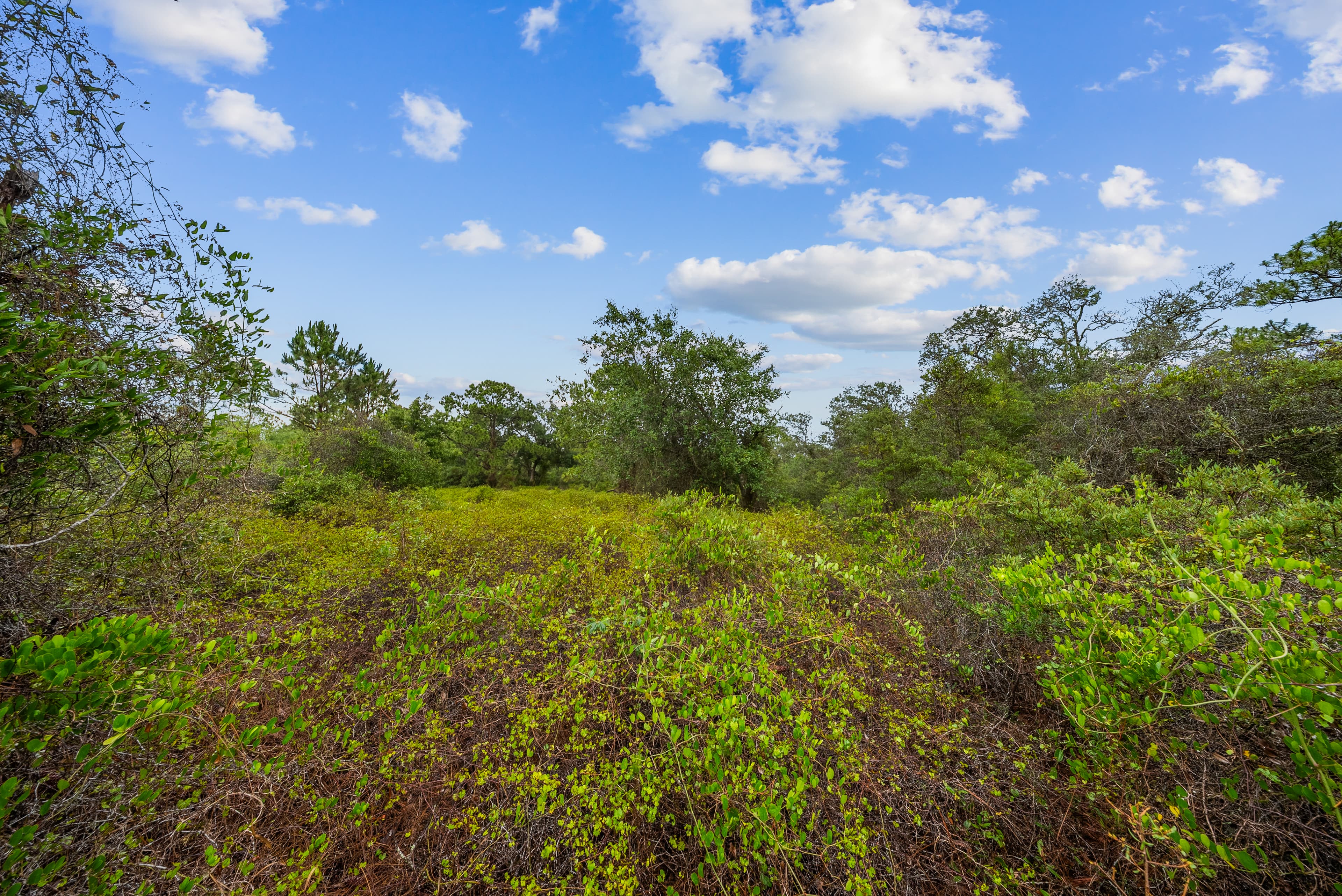 The Hollow Lane Haven: 0.23 Acres of Site-Built Exclusivity — property view 11