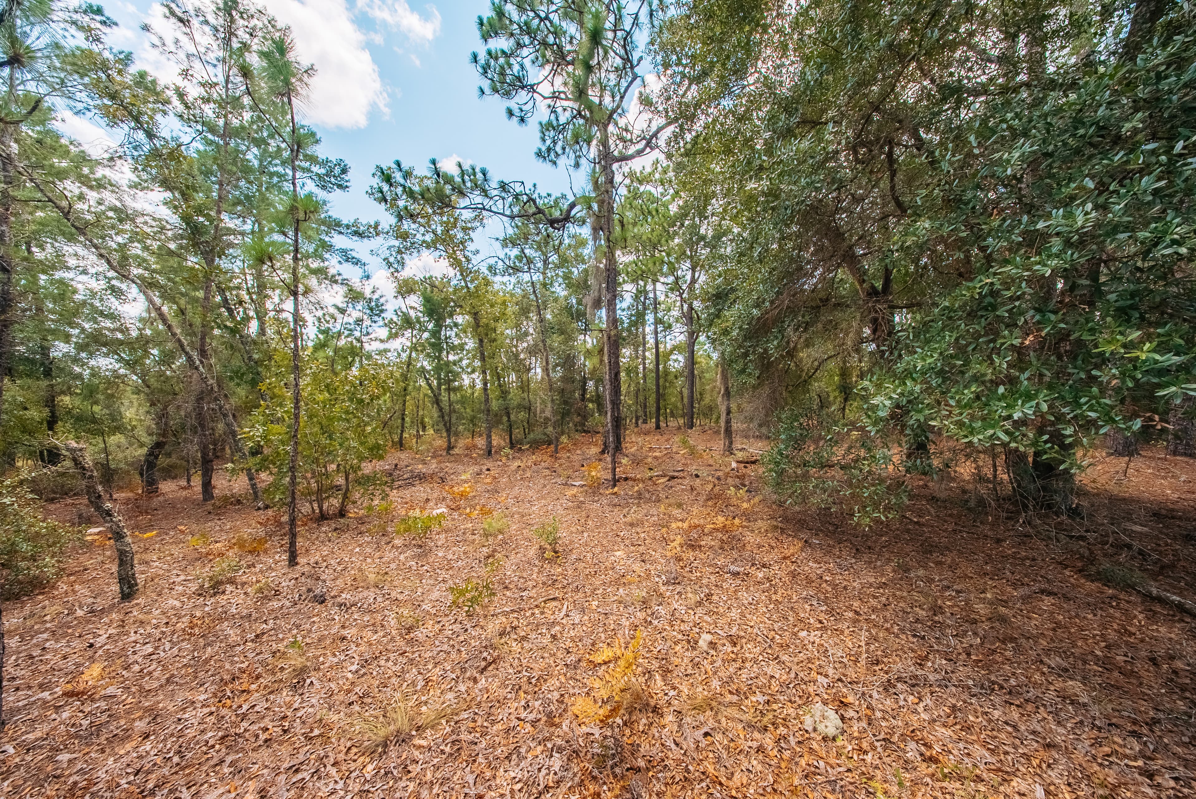 0.90 Acre Premium Lot in Mariners Lake Heights, Interlachen — property view 11