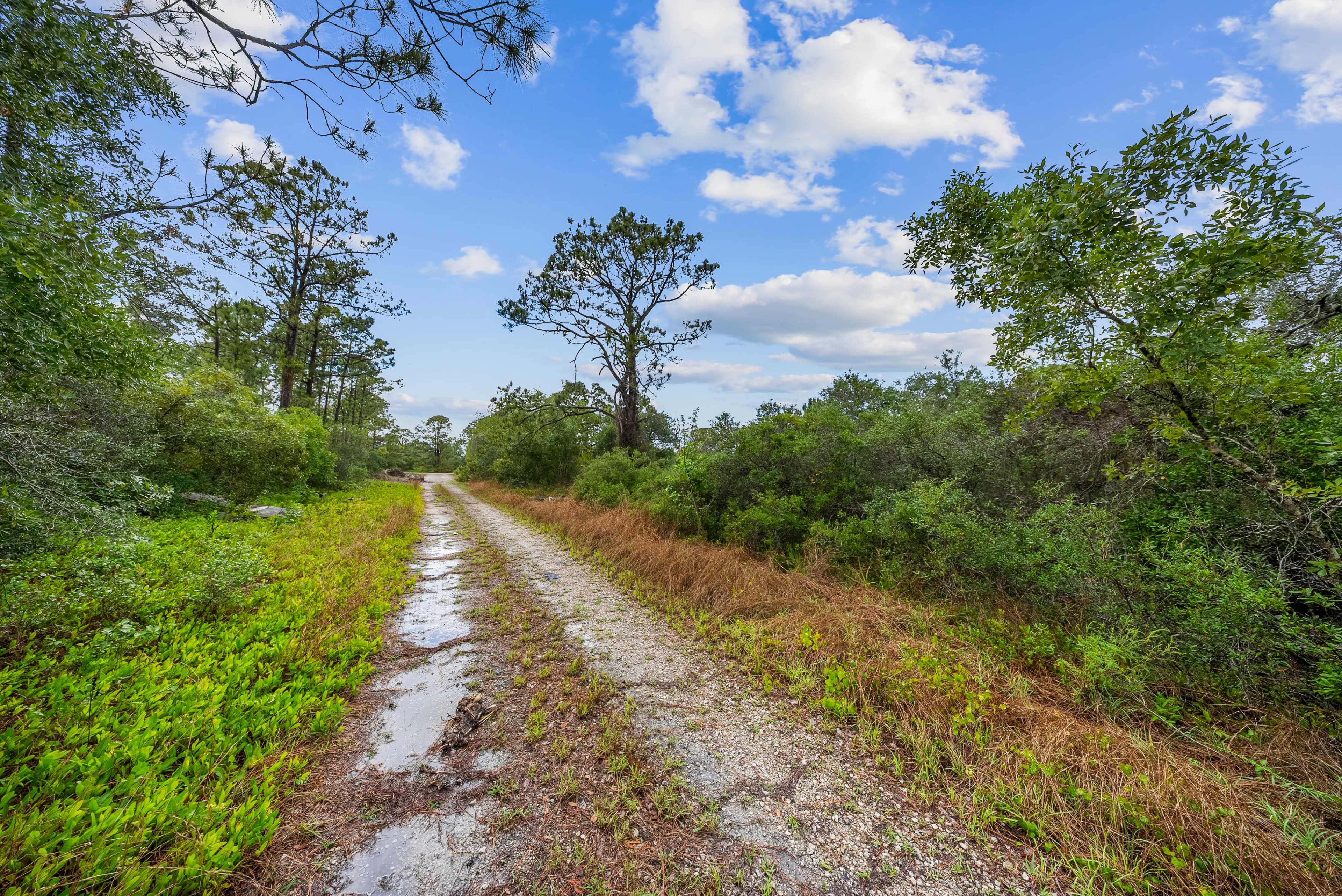 0.23 acre residential zoned land for sale in Highlands County, FL — photo 4