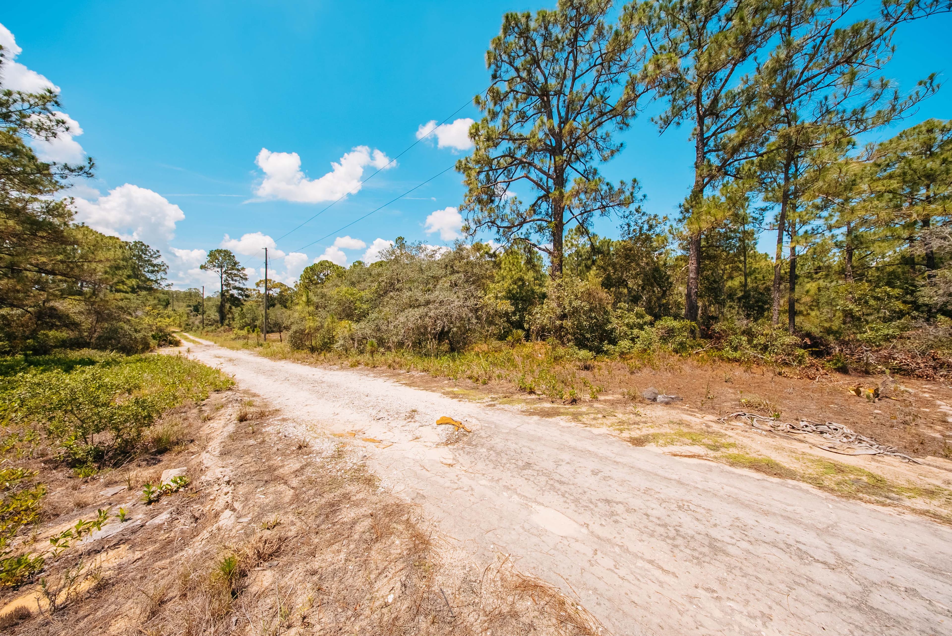  0.24 Acre Build-Ready Lot in Sun N Lakes, Lake Placid — property view 6