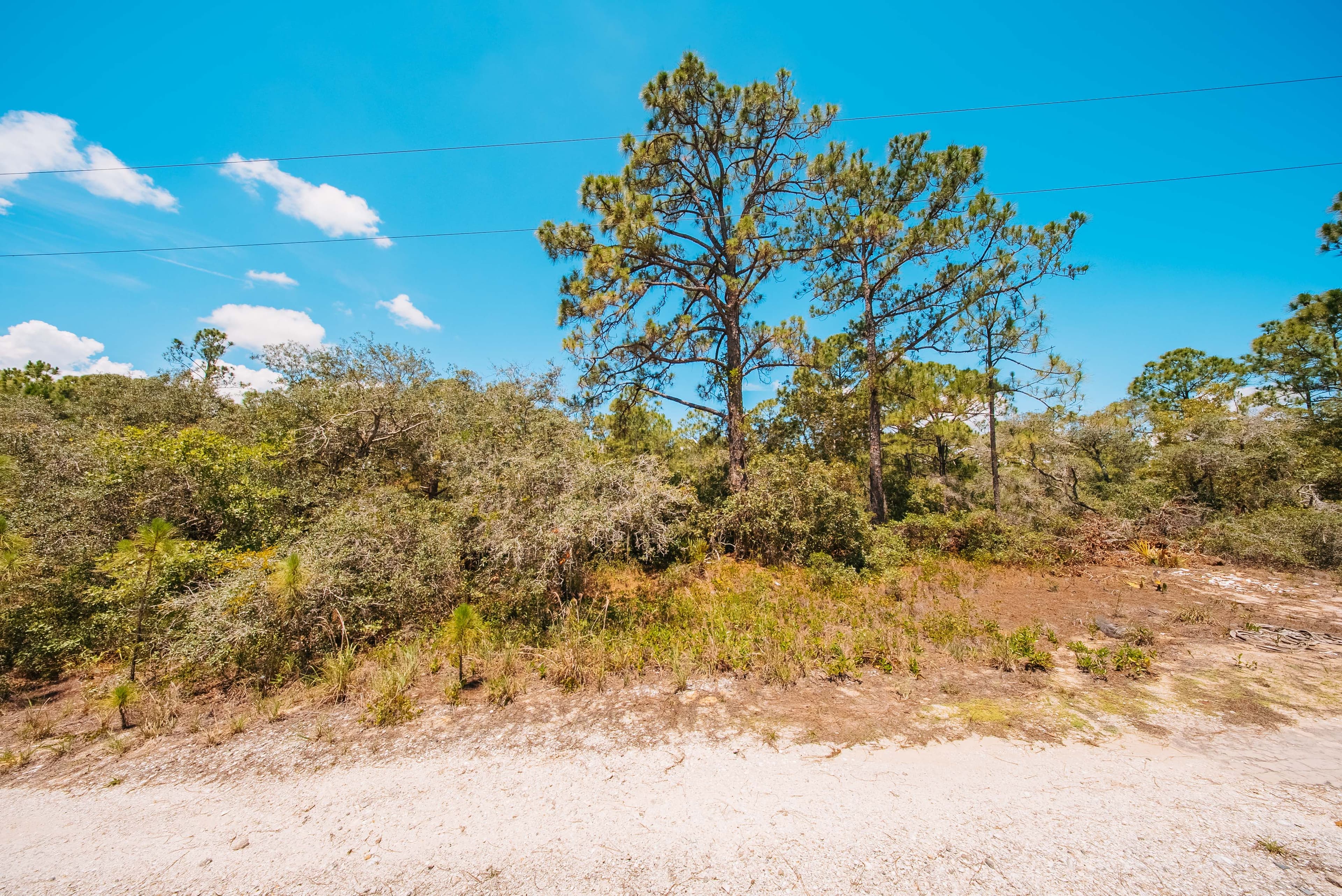  0.24 Acre Build-Ready Lot in Sun N Lakes, Lake Placid — property view 7