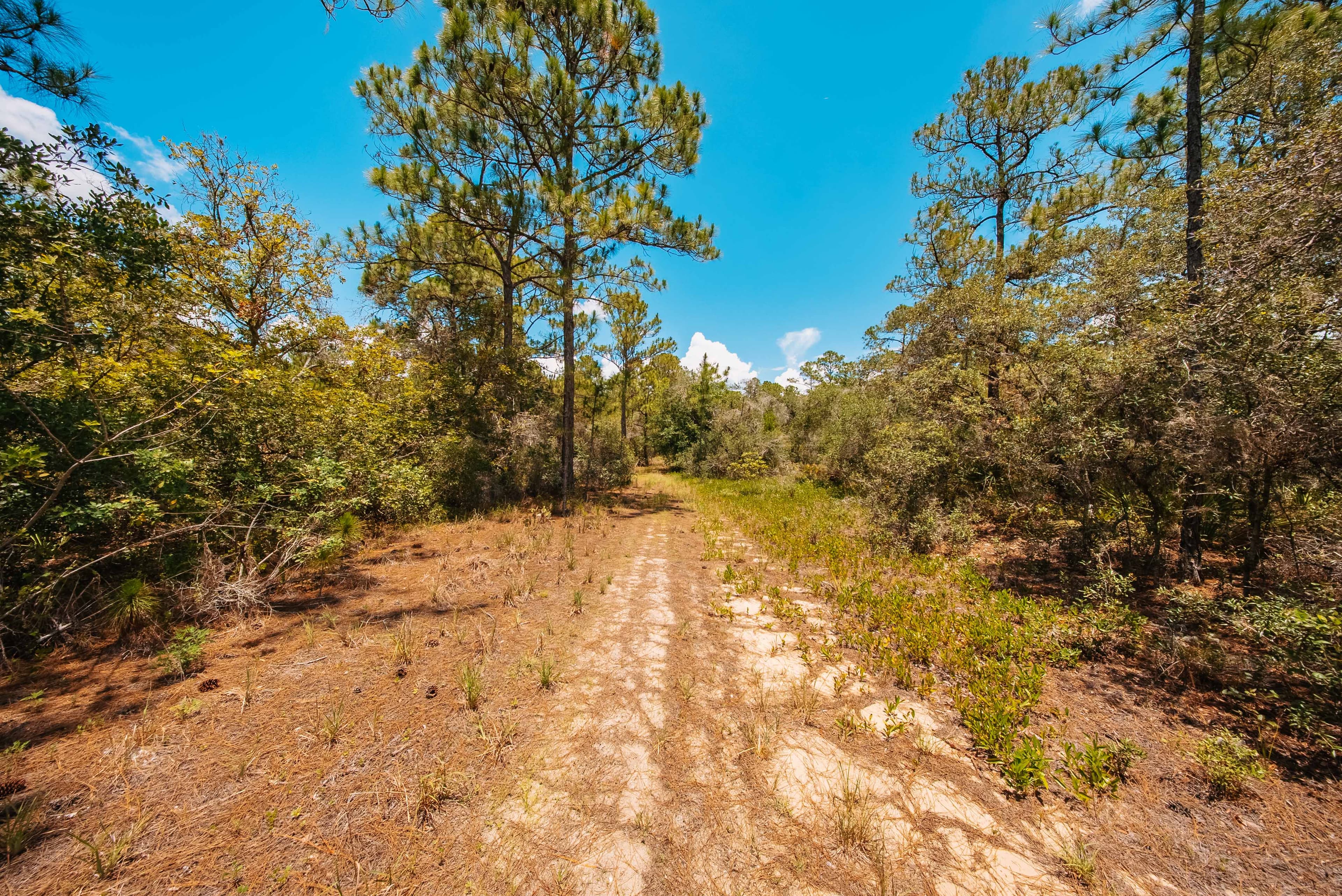 Premium 0.23-Acre High-Elevation Lot in Sun 'N Lakes, Lake Placid — property view 14