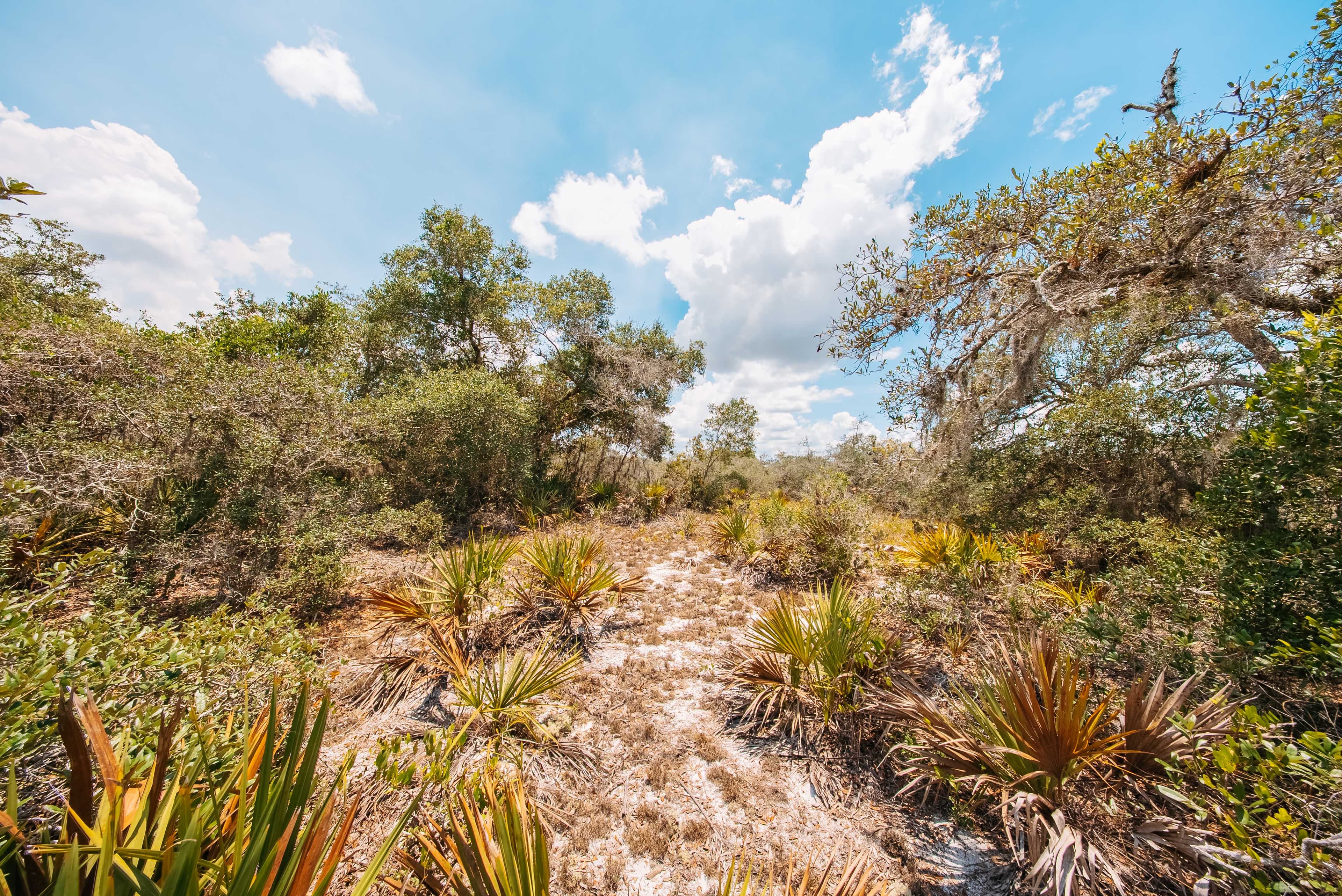 0.24 Acre Build-Ready Lot in Sun N Lakes — property view 13
