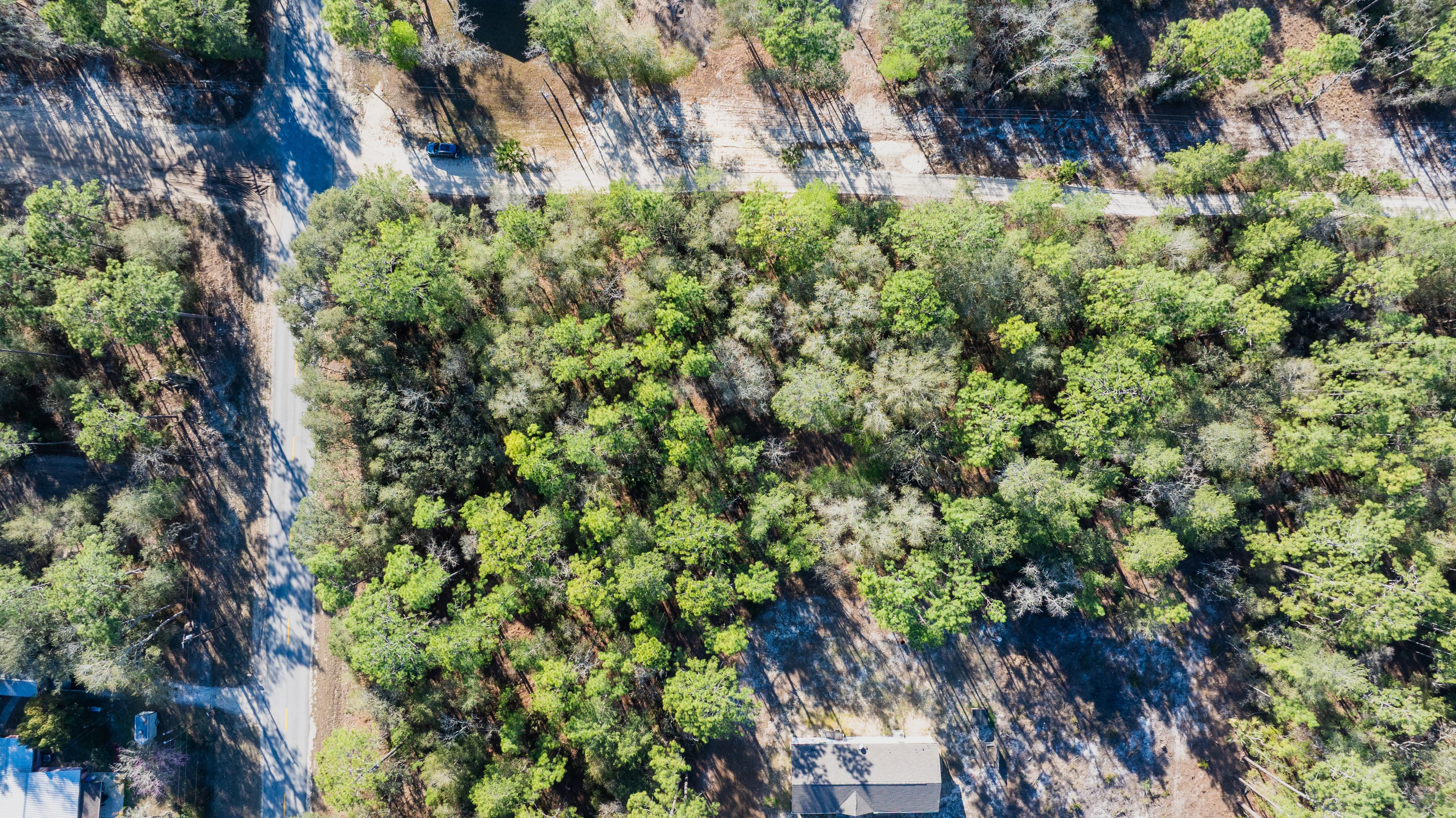 Quail Hollow Hideaway: 0.23 Acres in Florida's Riverside Frontier — property view 7