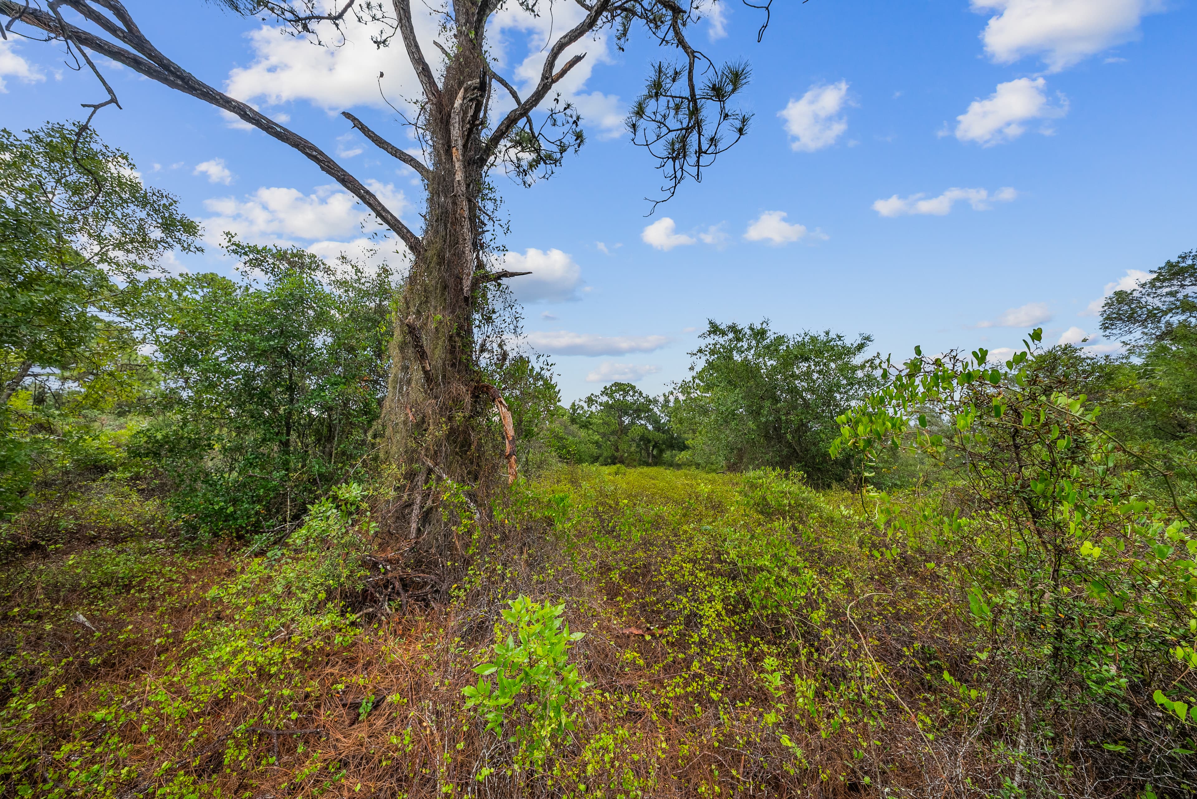 The Hollow Lane Haven: 0.23 Acres of Site-Built Exclusivity — property view 10