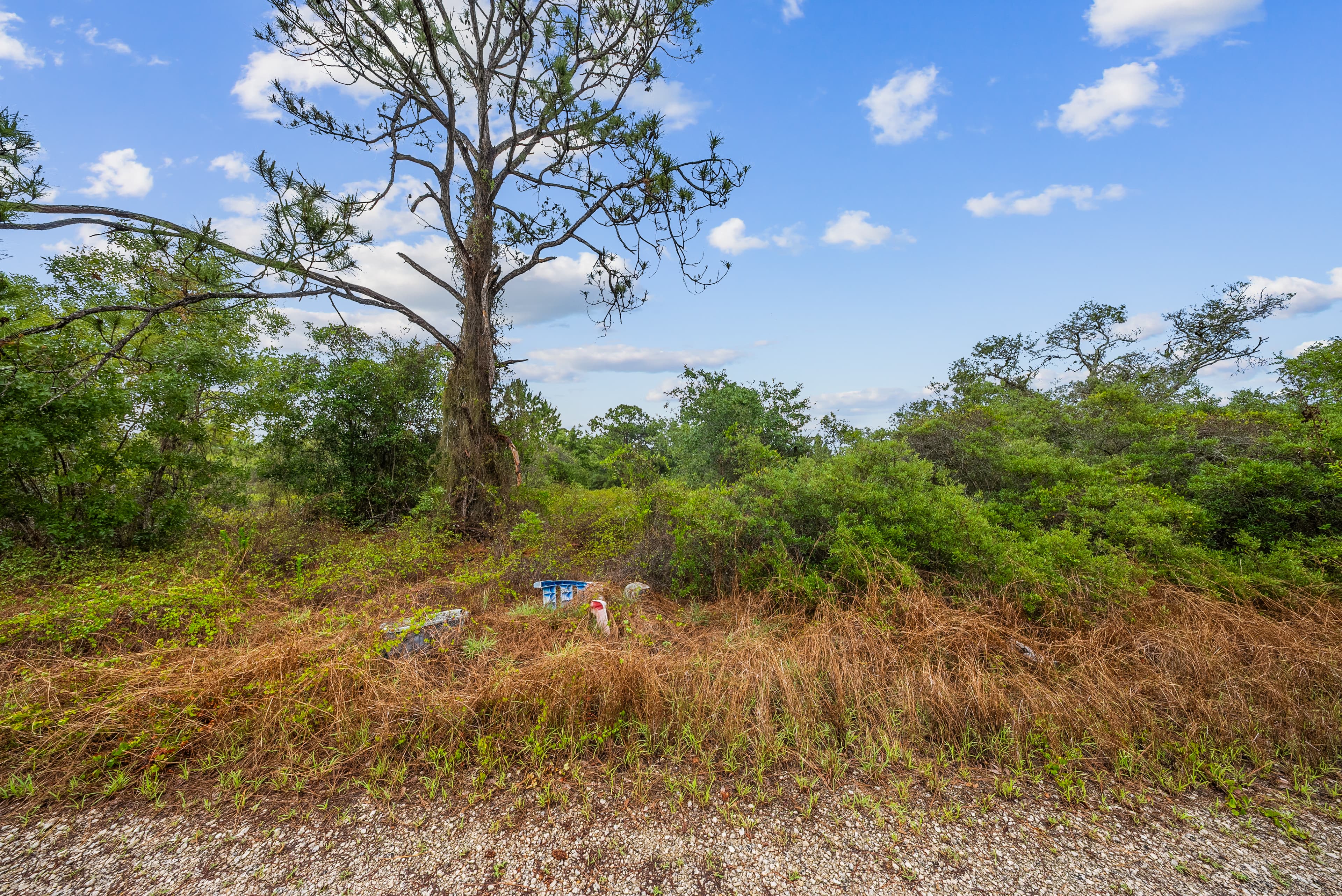 The Hollow Lane Haven: 0.23 Acres of Site-Built Exclusivity — property view 6