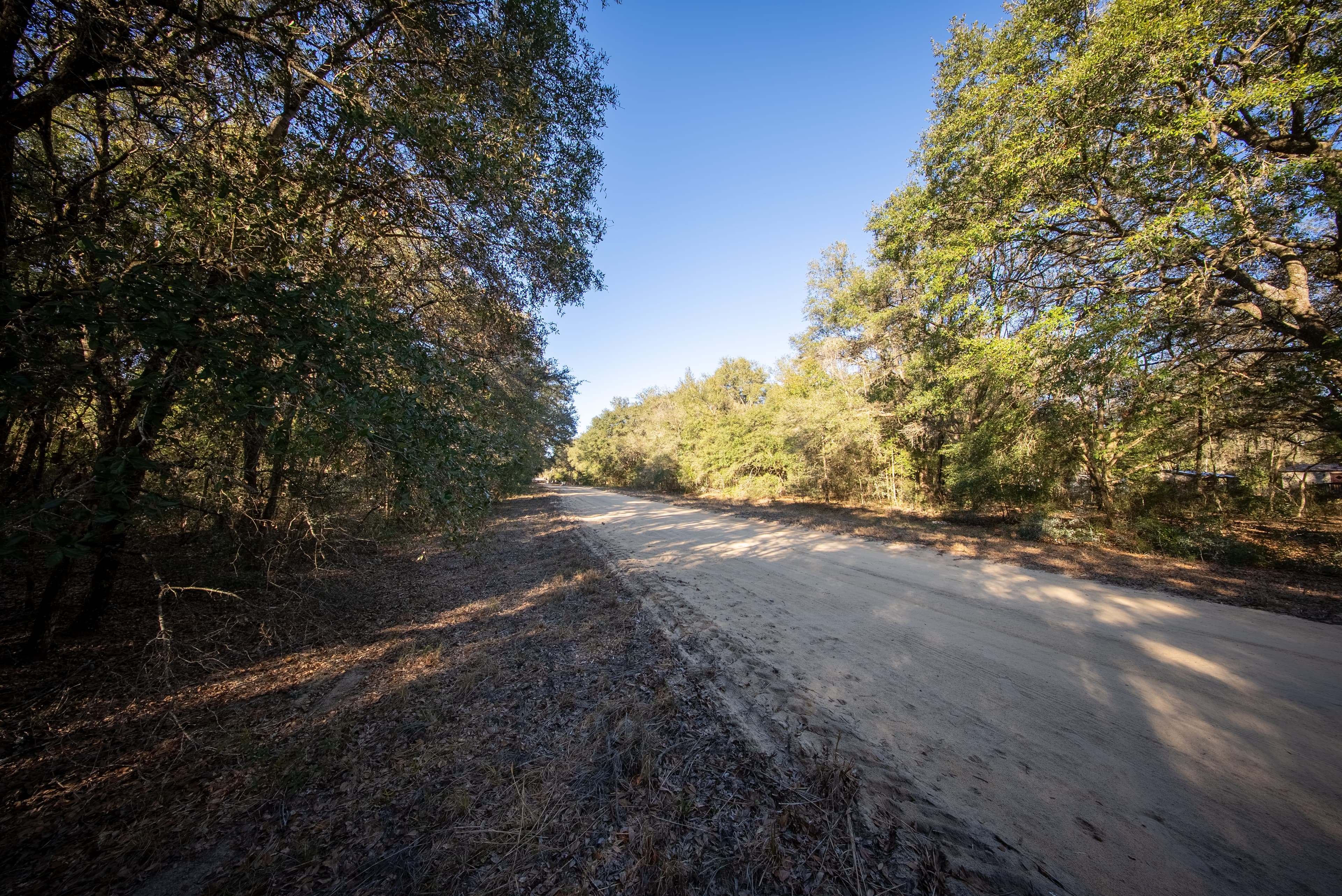 This is Where Dreams Become Reality — property view 11