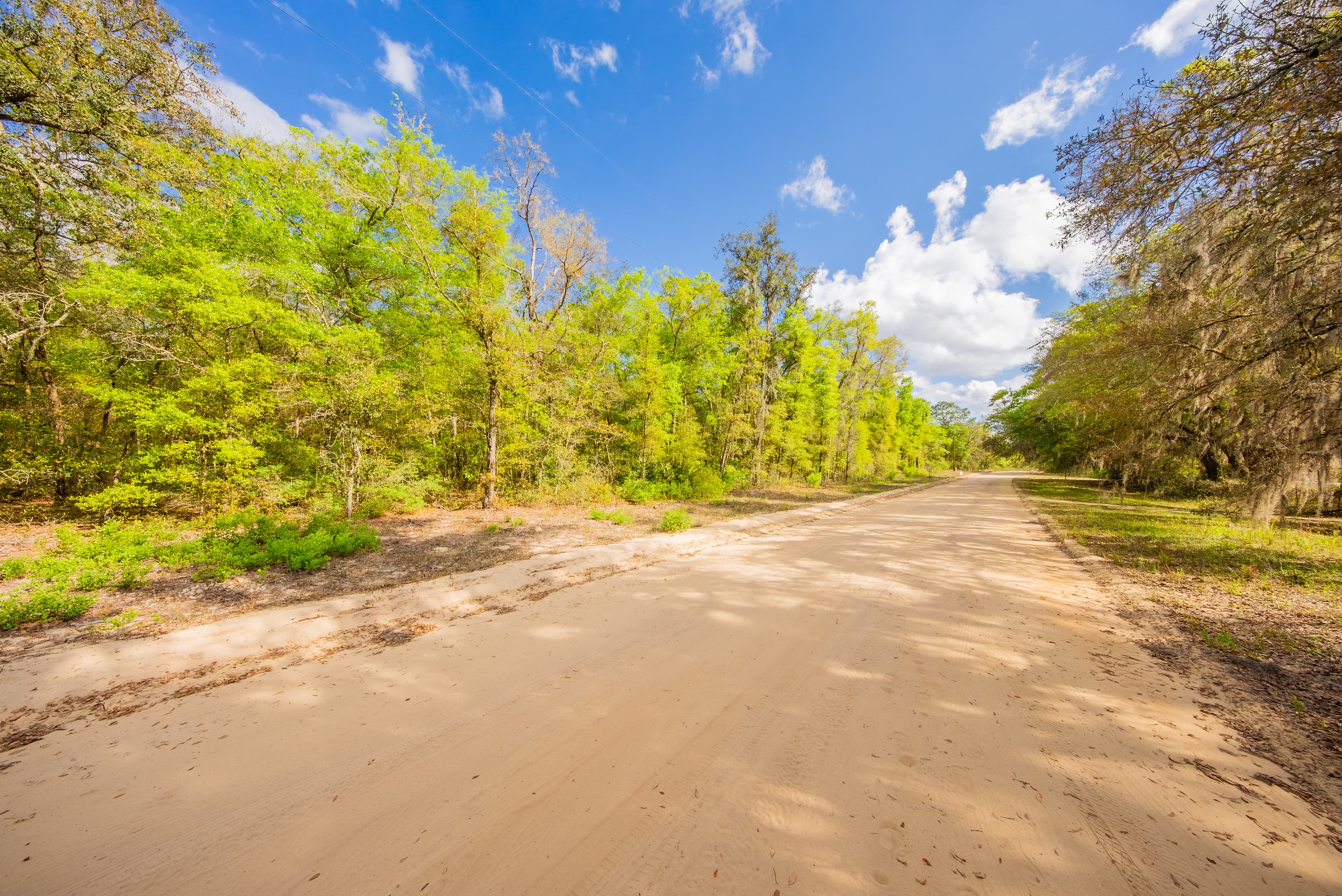 The Gloria Avenue Retreat: 0.22 High & Dry Acres in Hawthorne — property view 12