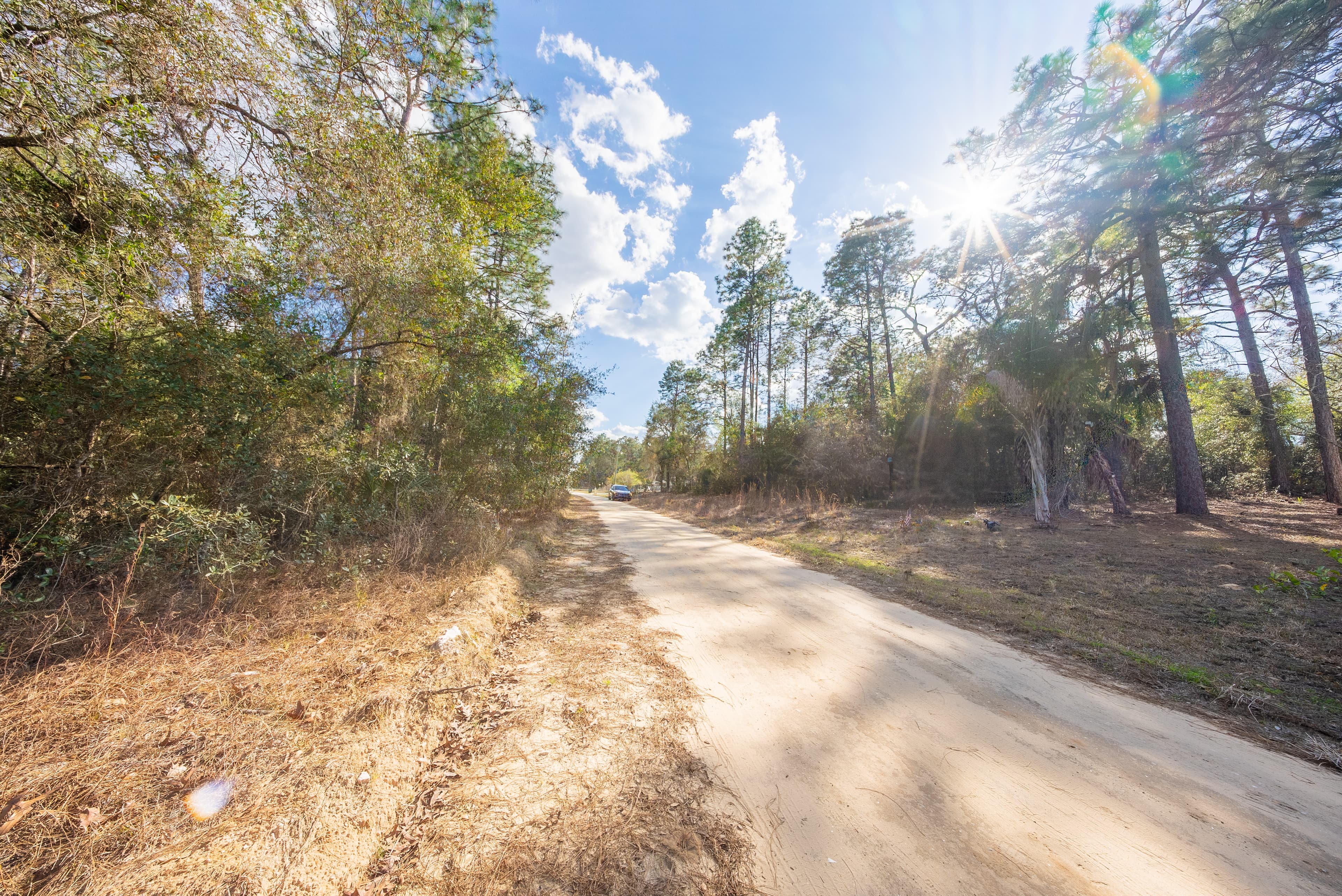 Riverside Retreat: 0.23 Acres on the St. Johns in Wild Florida — property view 14
