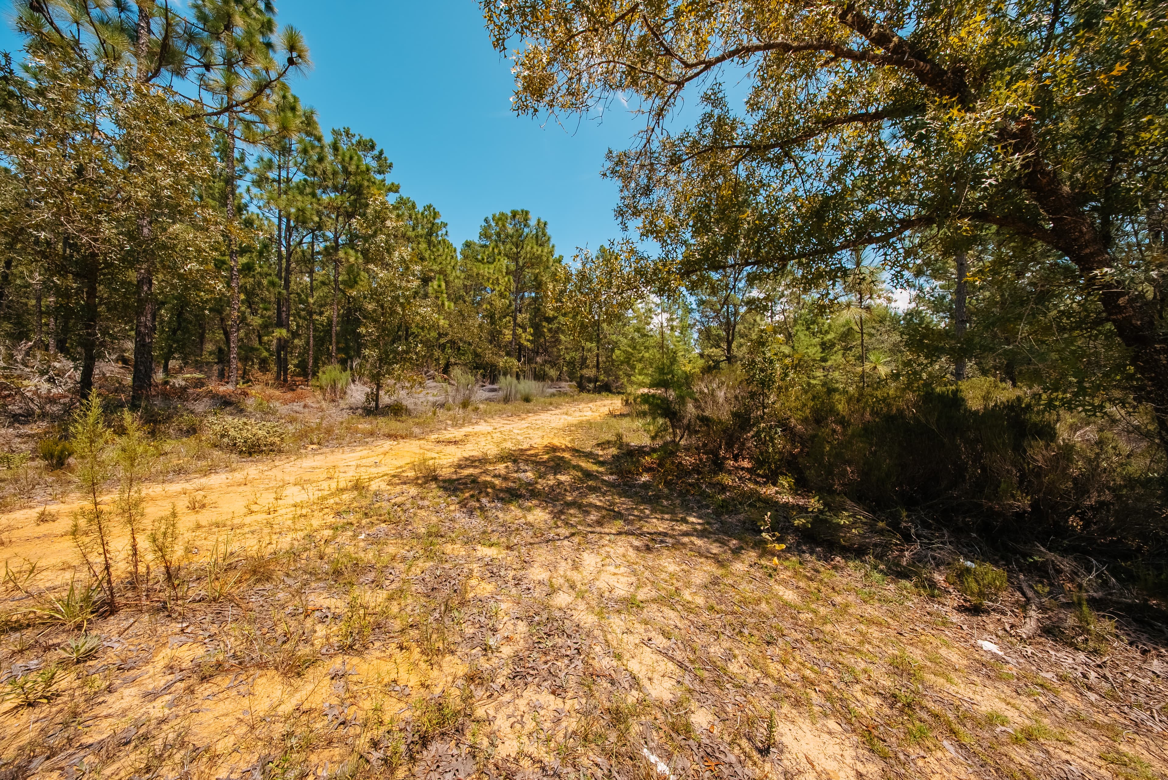 1.03 Acre Premium Estate Lot in Mariners Lake Heights, Interlachen — property view 10