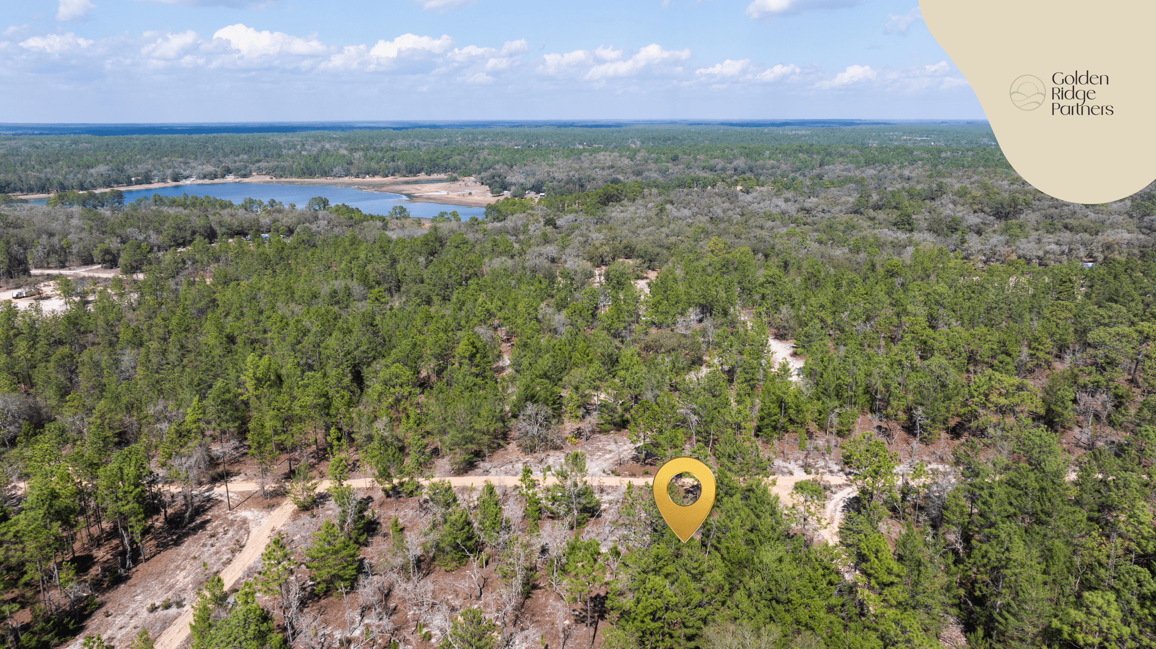 The High-Ground Corner: 0.37 Deeded Acres in Wild Florida — property view 14