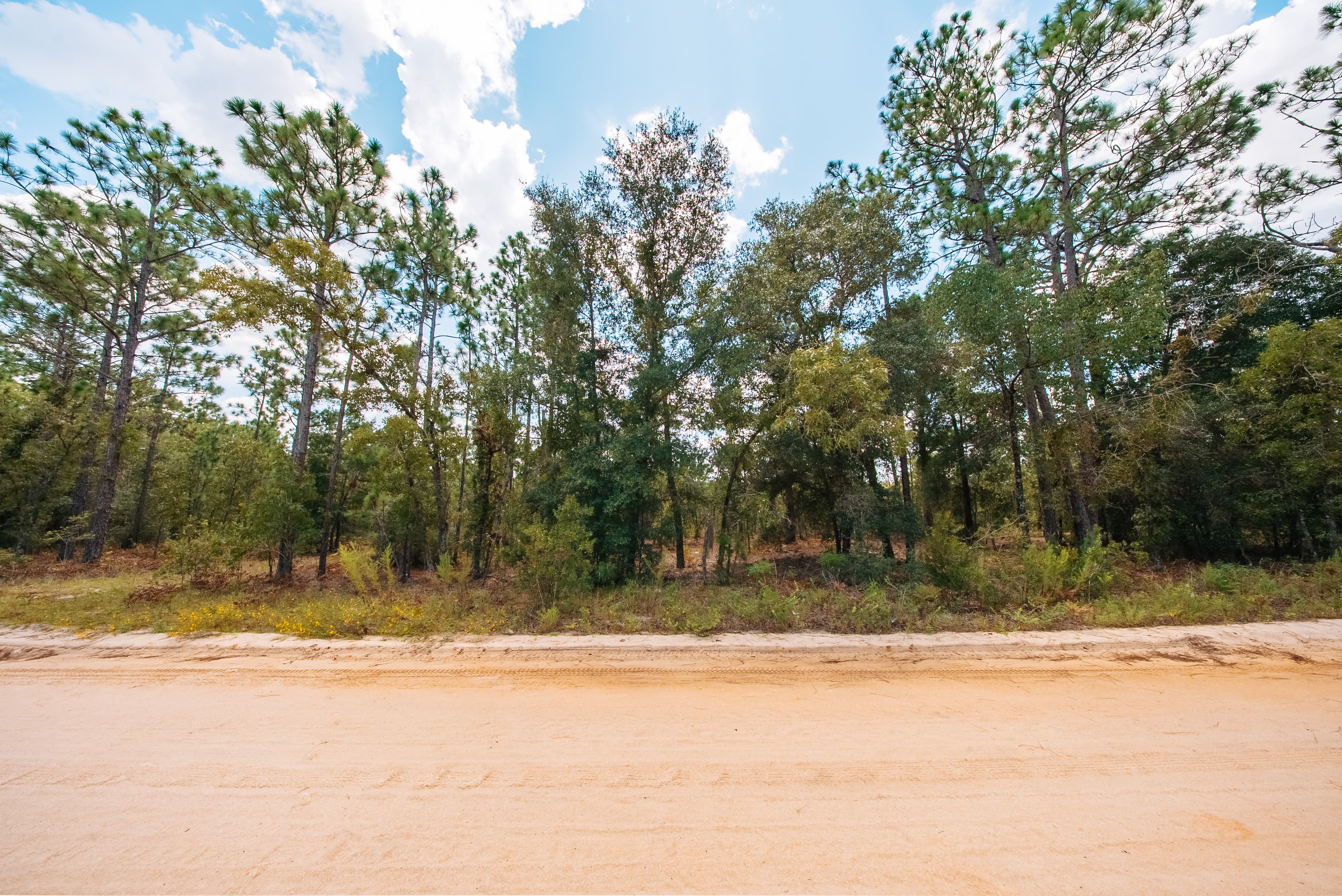 0.90 Acre Premium Lot in Mariners Lake Heights, Interlachen — property view 8