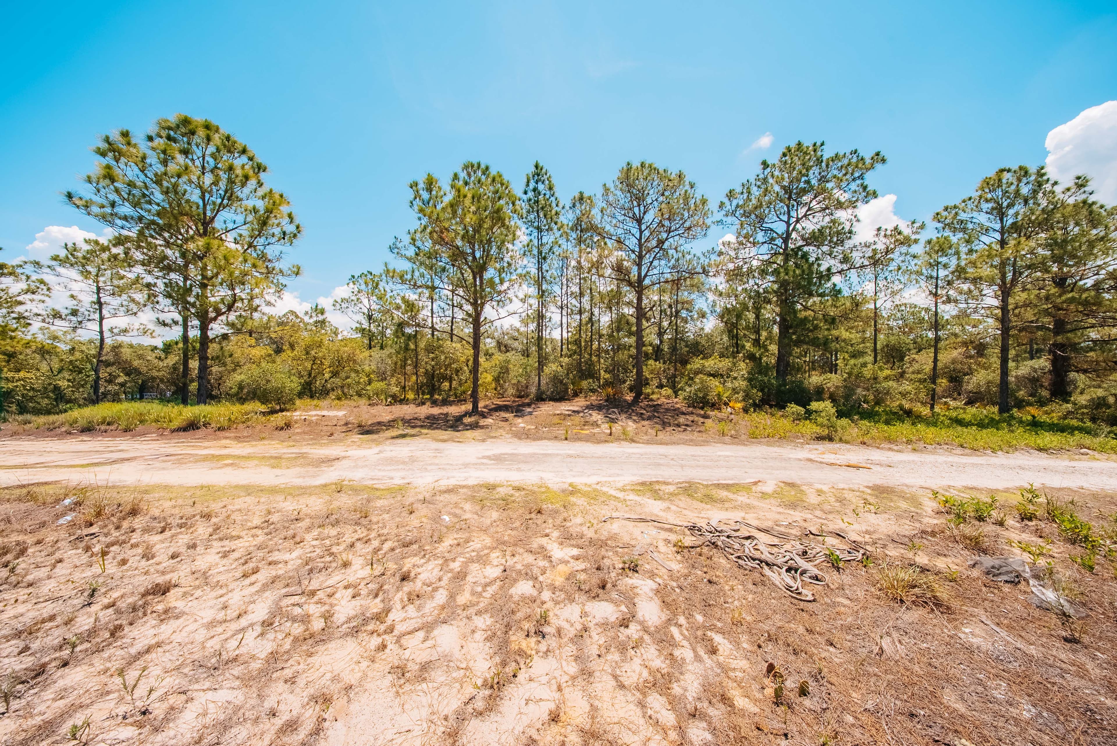  0.24 Acre Build-Ready Lot in Sun N Lakes, Lake Placid — property view 11