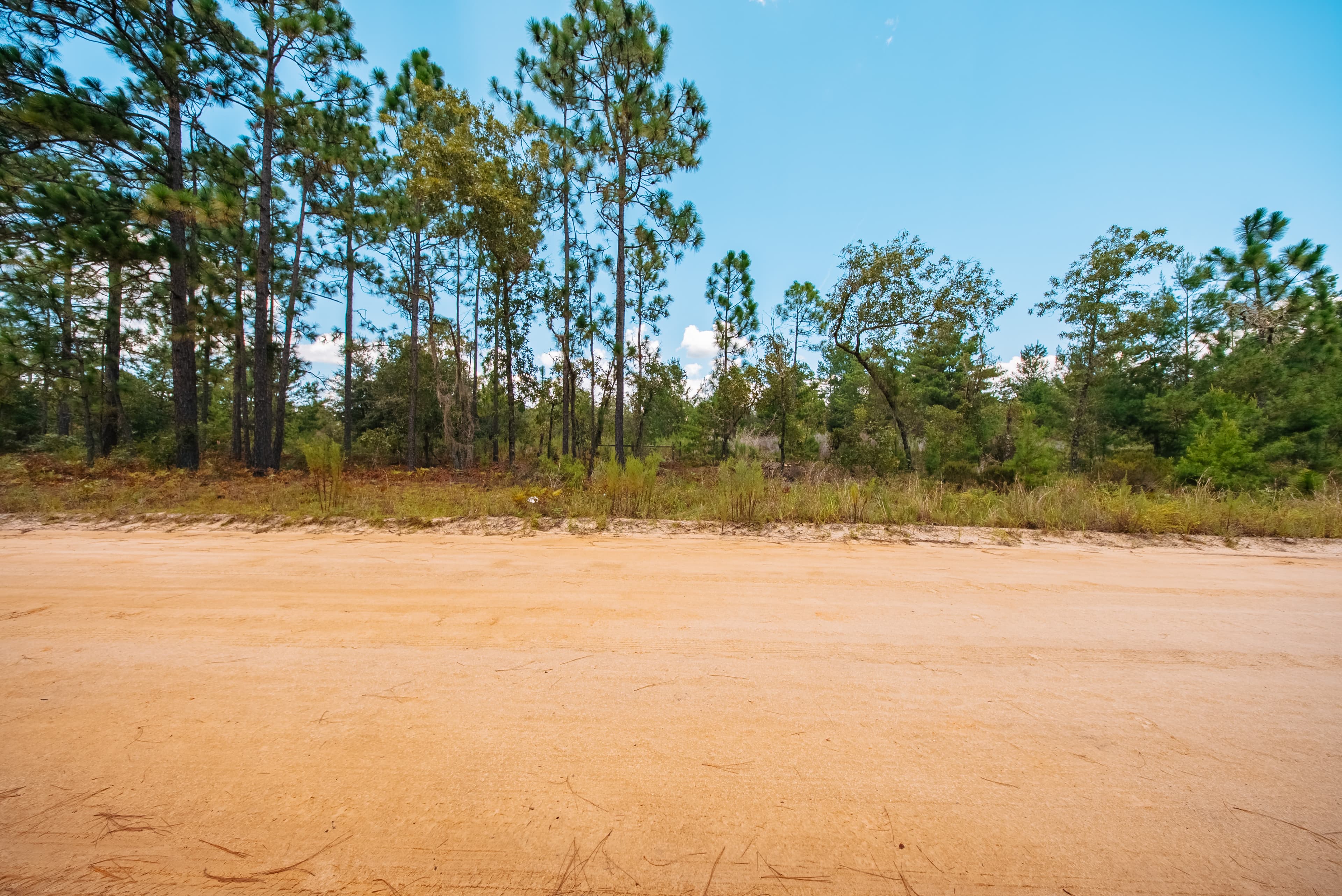 0.90 Acre Premium Lot in Mariners Lake Heights, Interlachen — property view 15