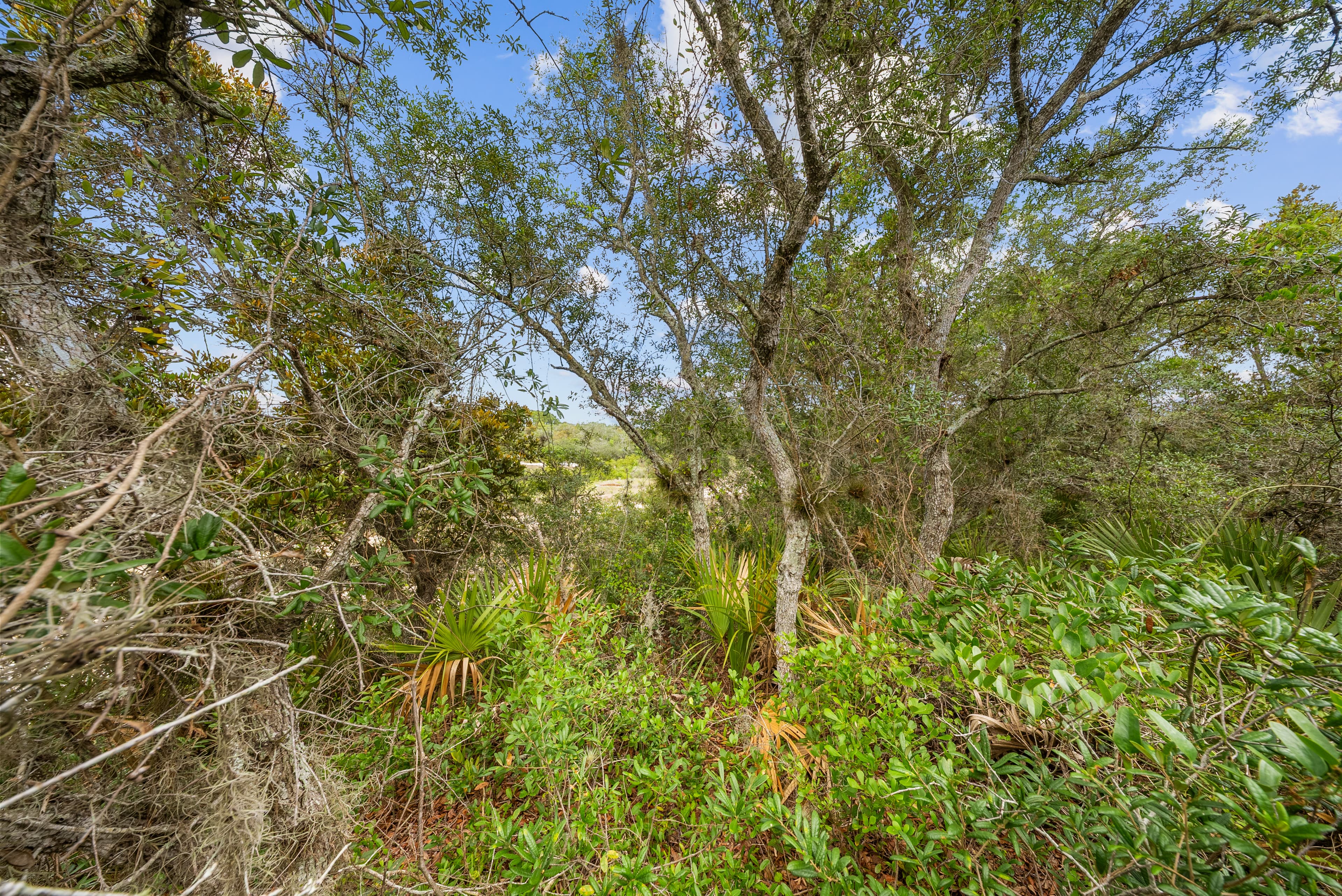 0.23 Acre Residential Lot in Sun N Lakes,  Lake Placid — property view 7