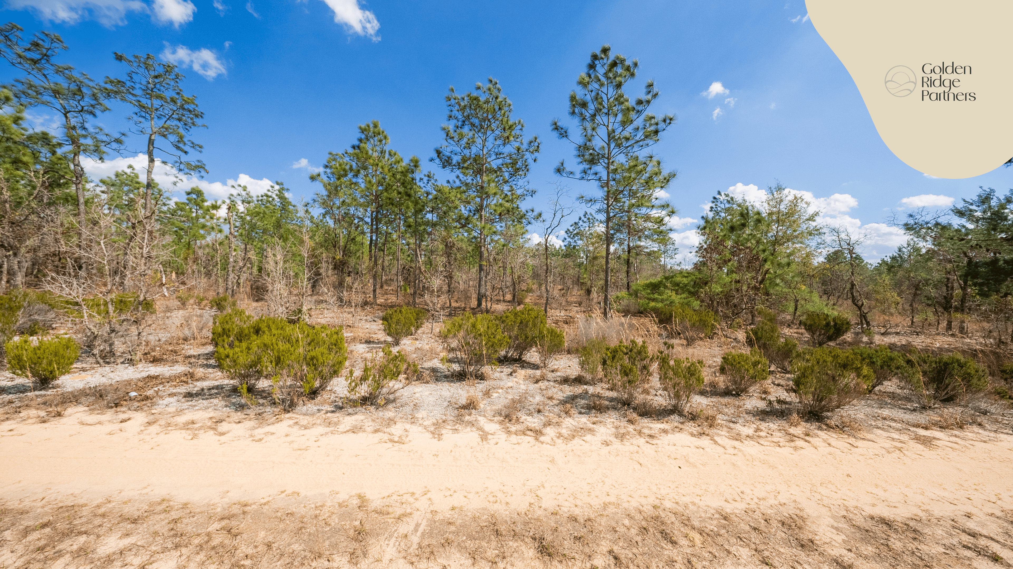 0.46 acre residential zoned land for sale in Putnam County, FL — photo 2